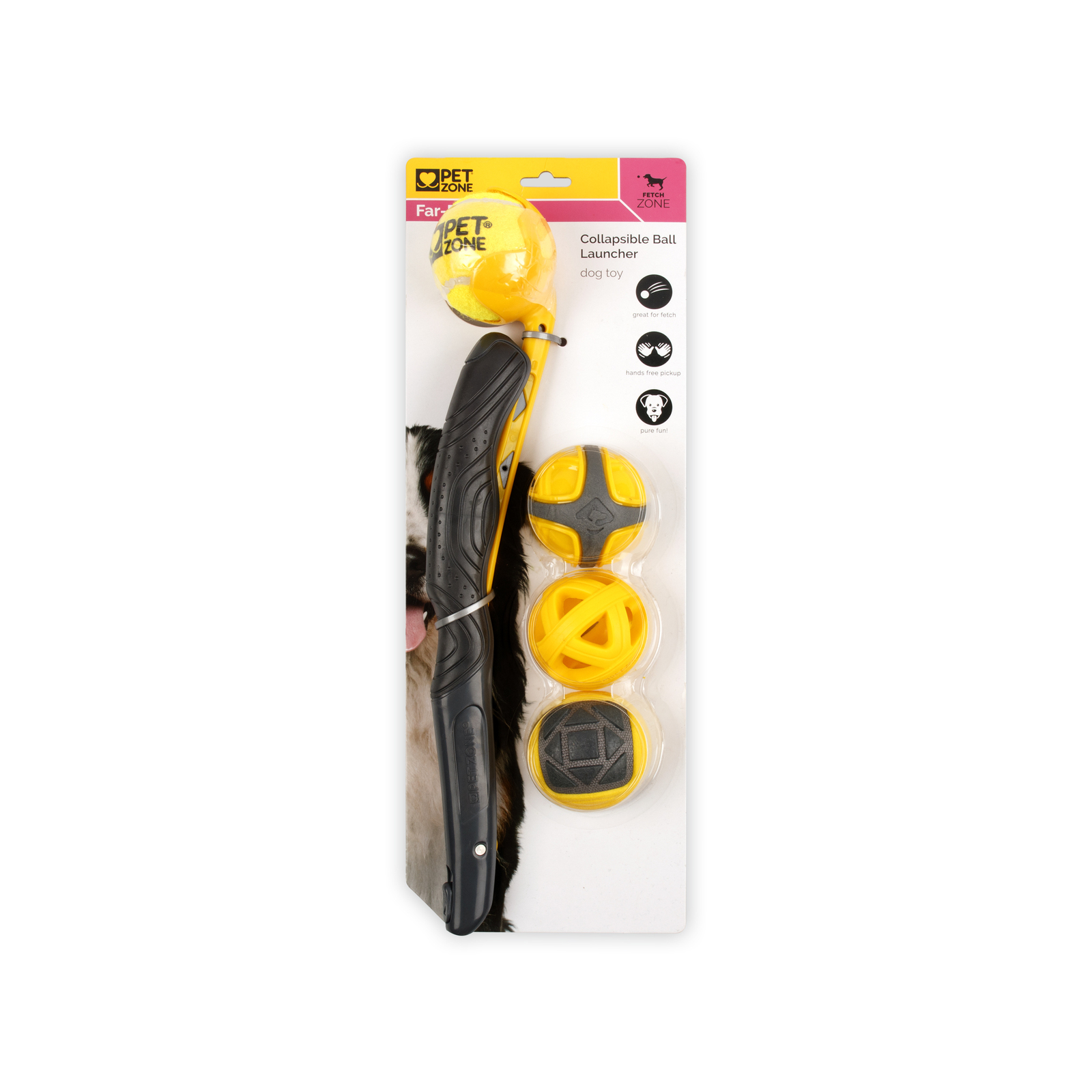 240320231679663302.jpeg