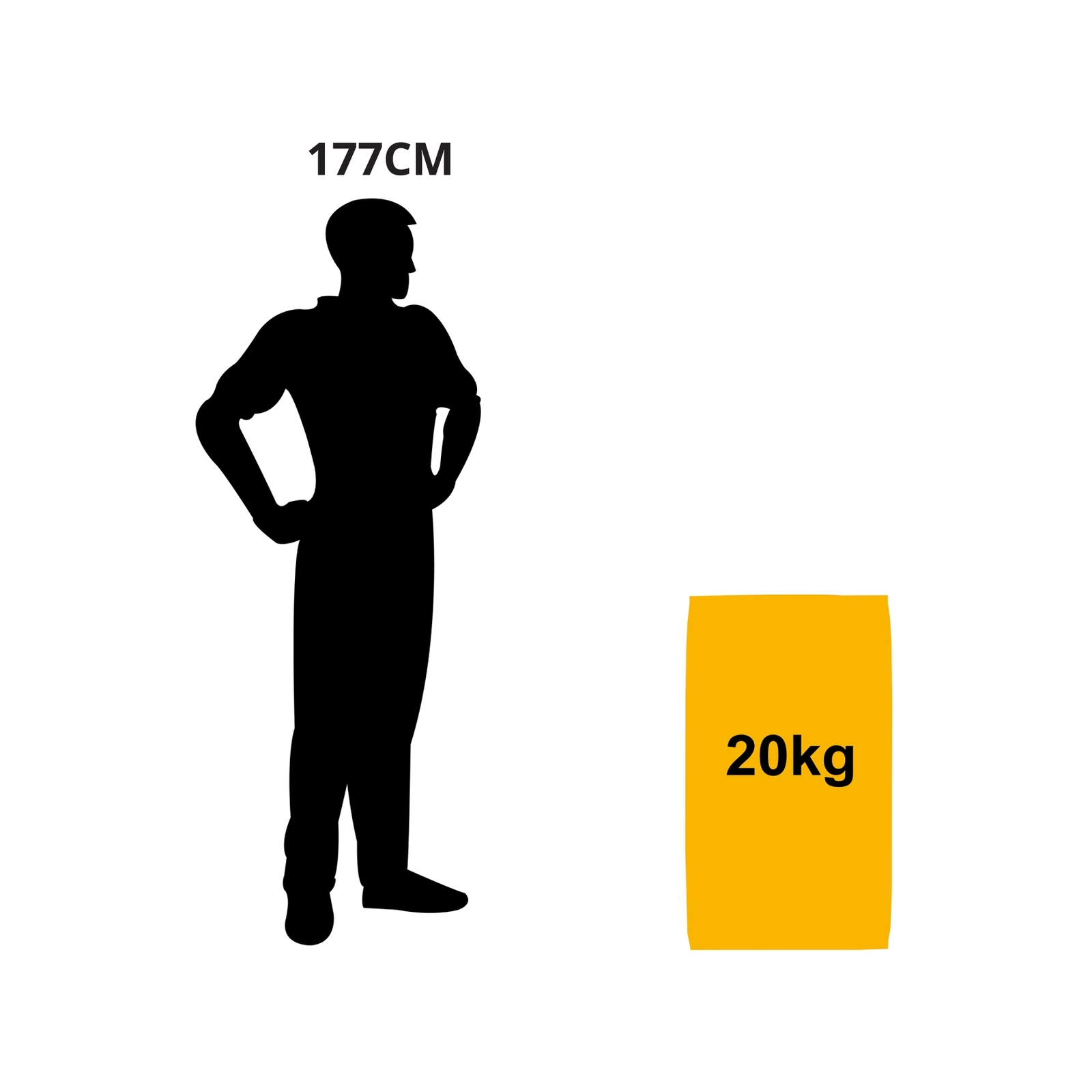 300320231680145649.jpeg