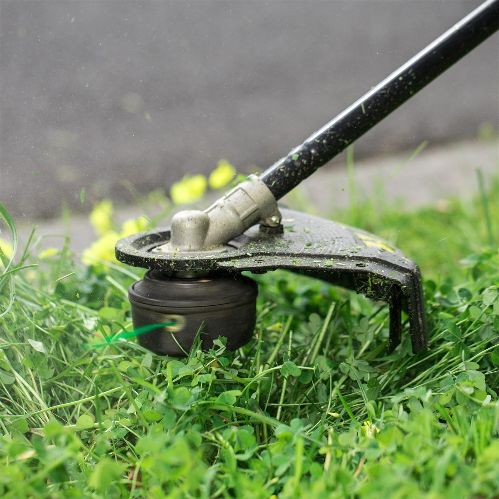 240420231682326462.jpeg