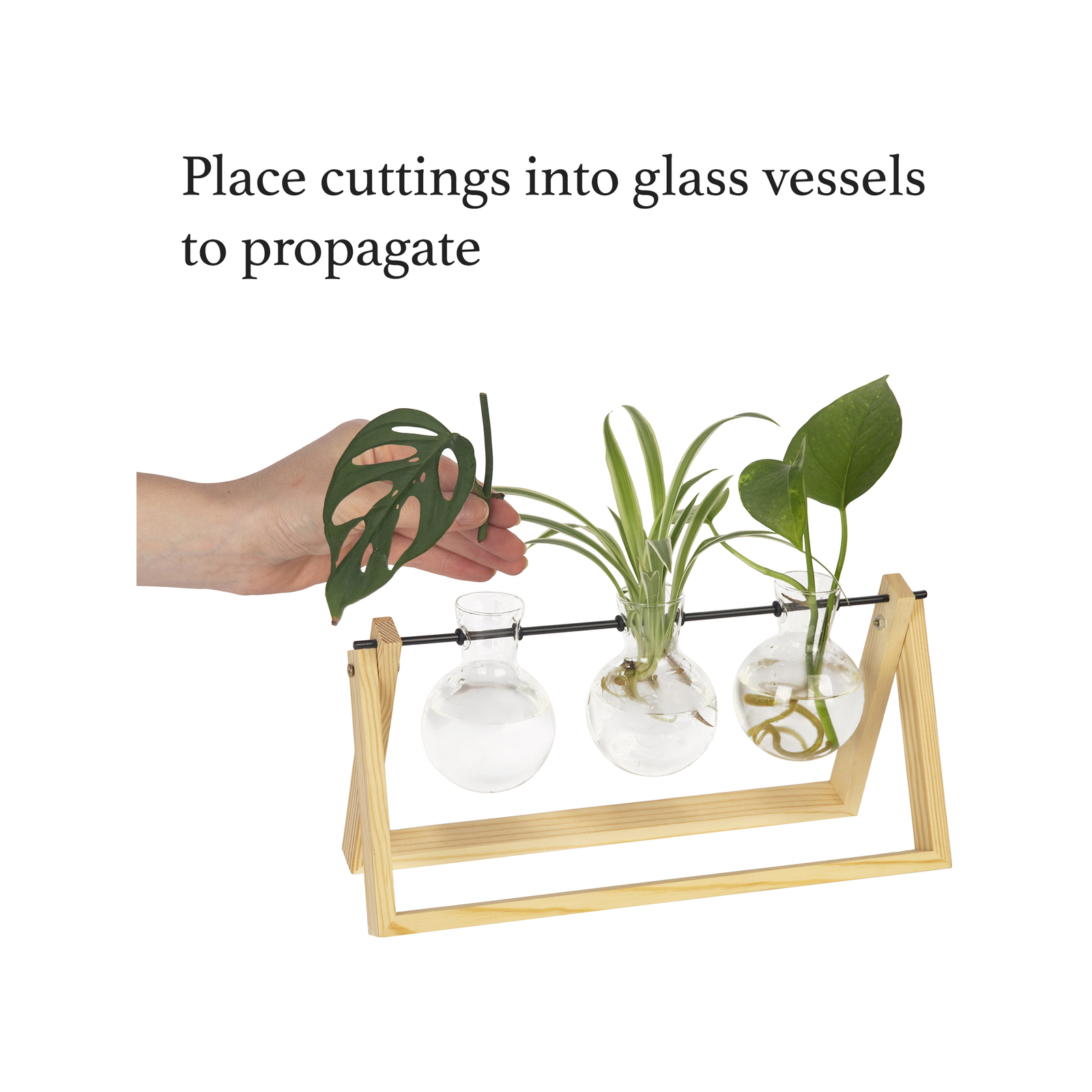 221220241734863743.jpeg