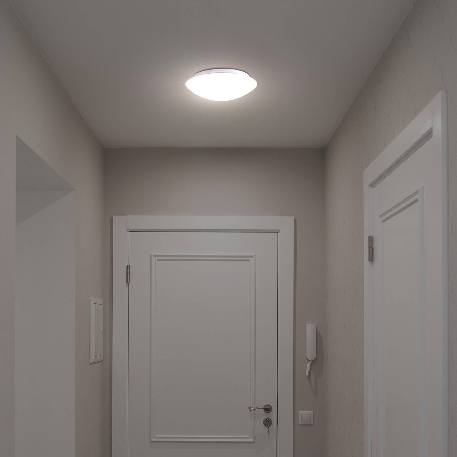 270420251745764484.jpeg
