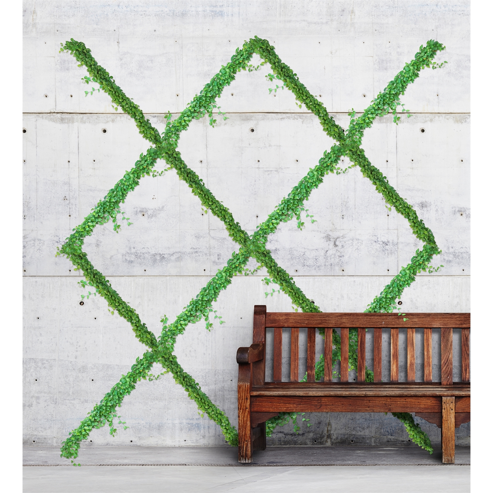 bunnings-6ab368eb0b900