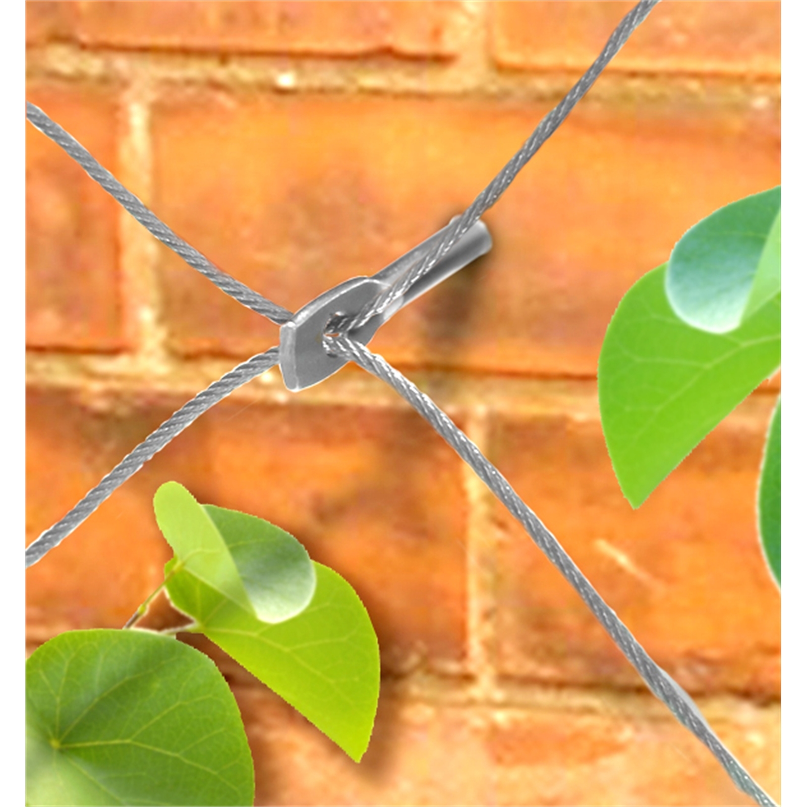 bunnings-6ab368ecdd84f