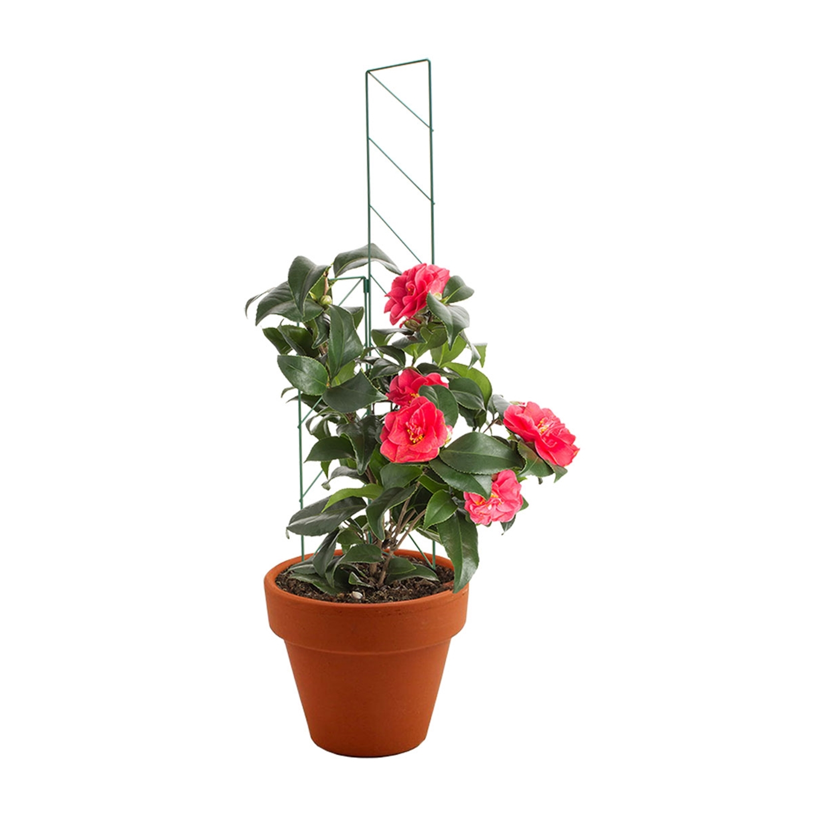 bunnings-6ab368fc3c055