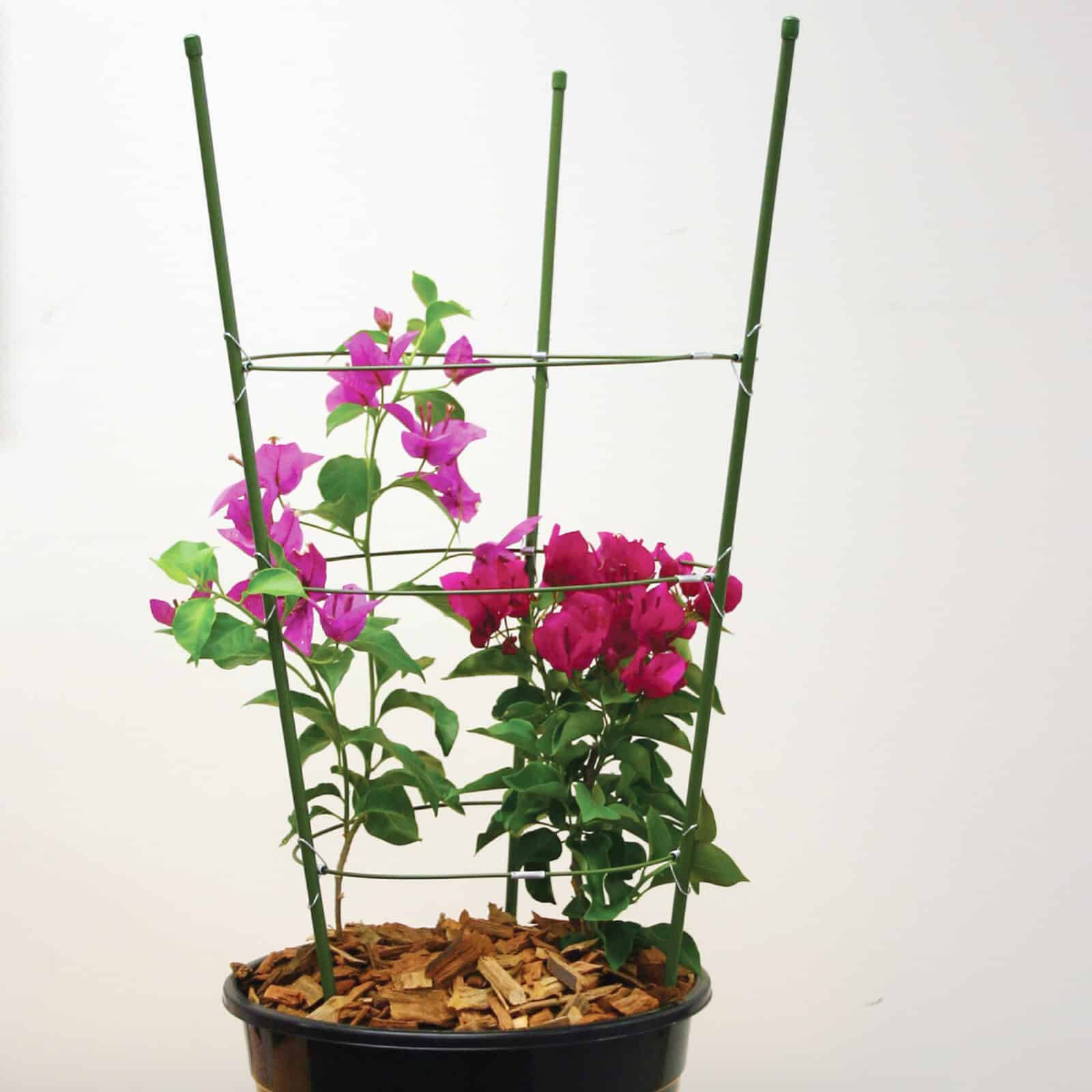 bunnings-6ab3698b06247