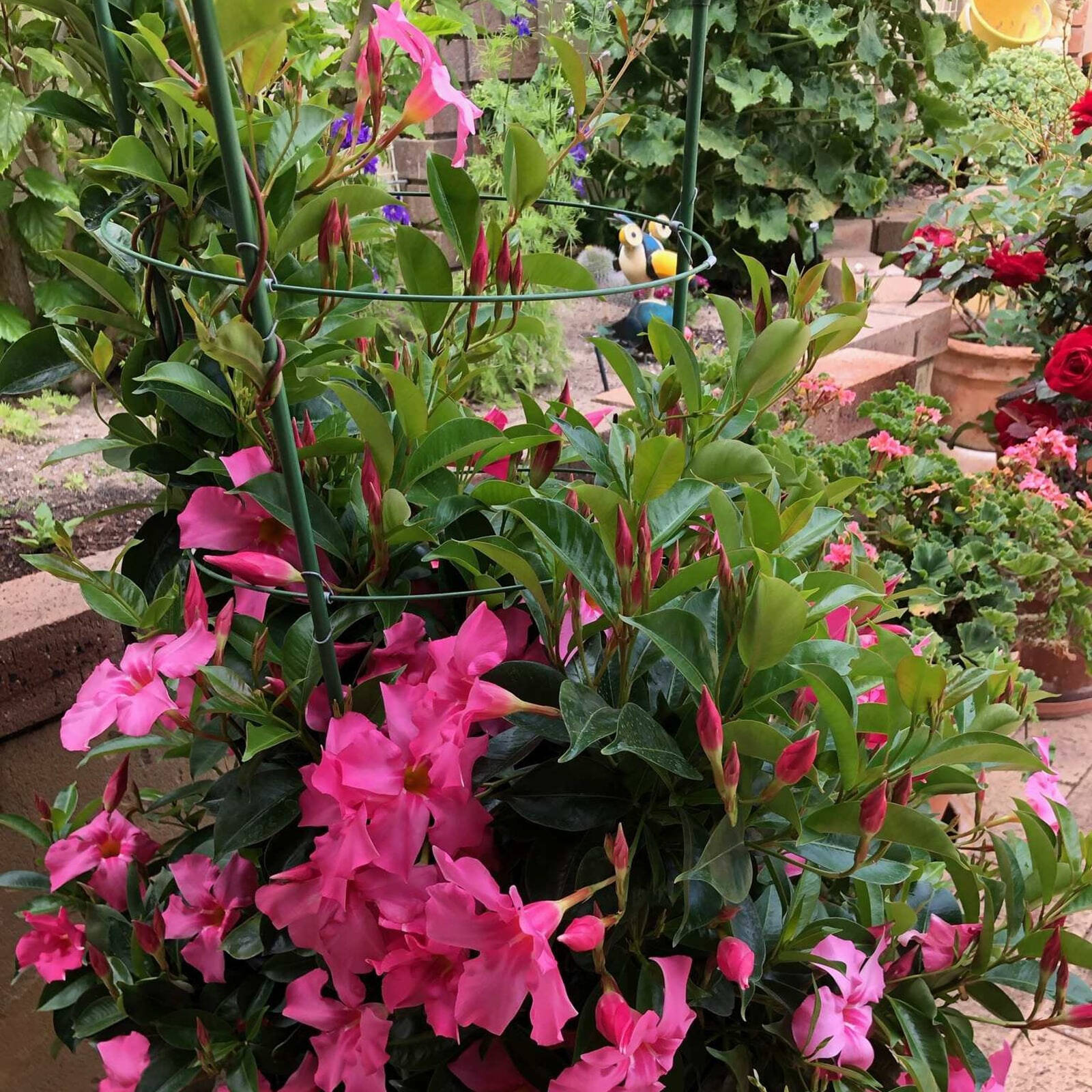 bunnings-6ab3698c77d98