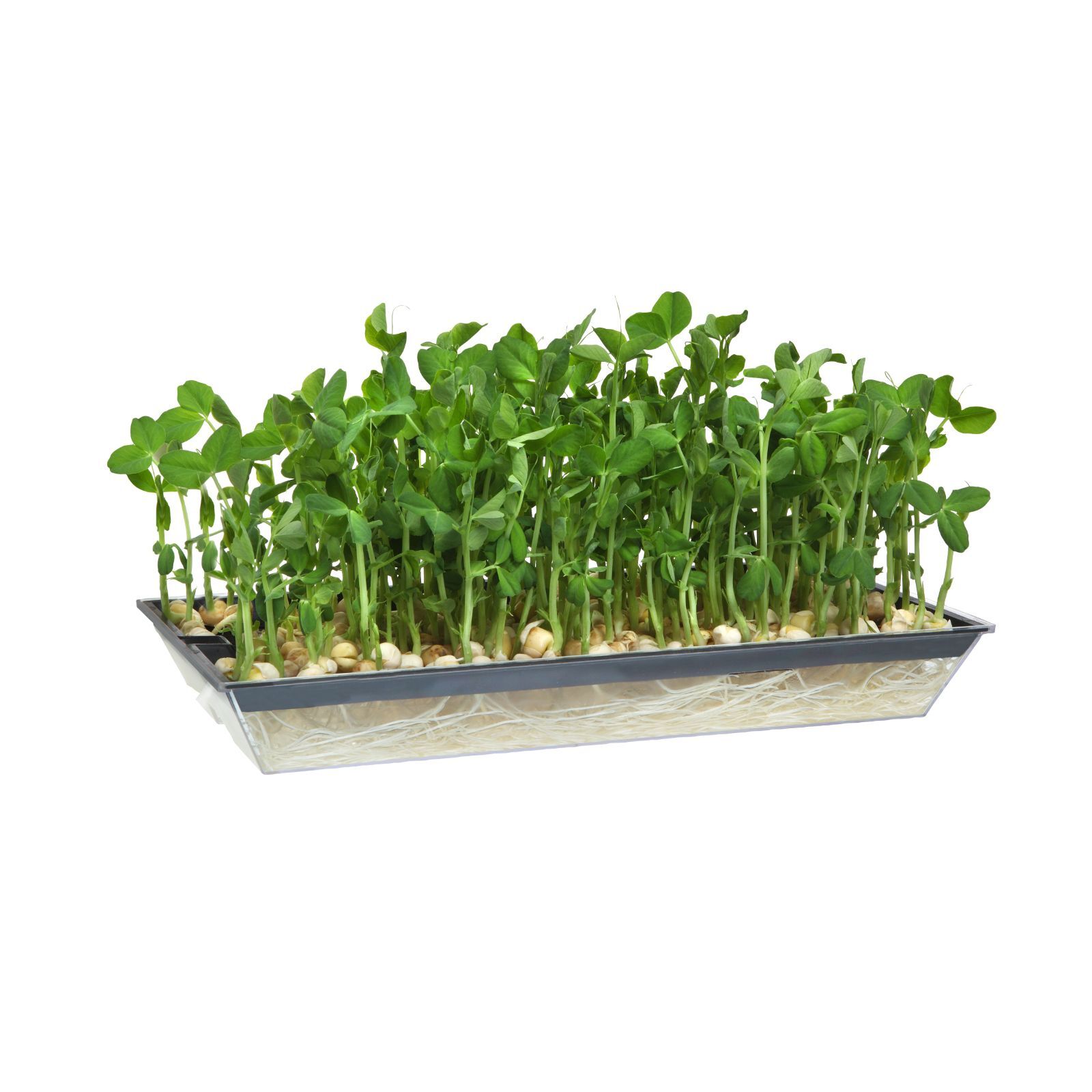 bunnings-6ab3a93a86c52