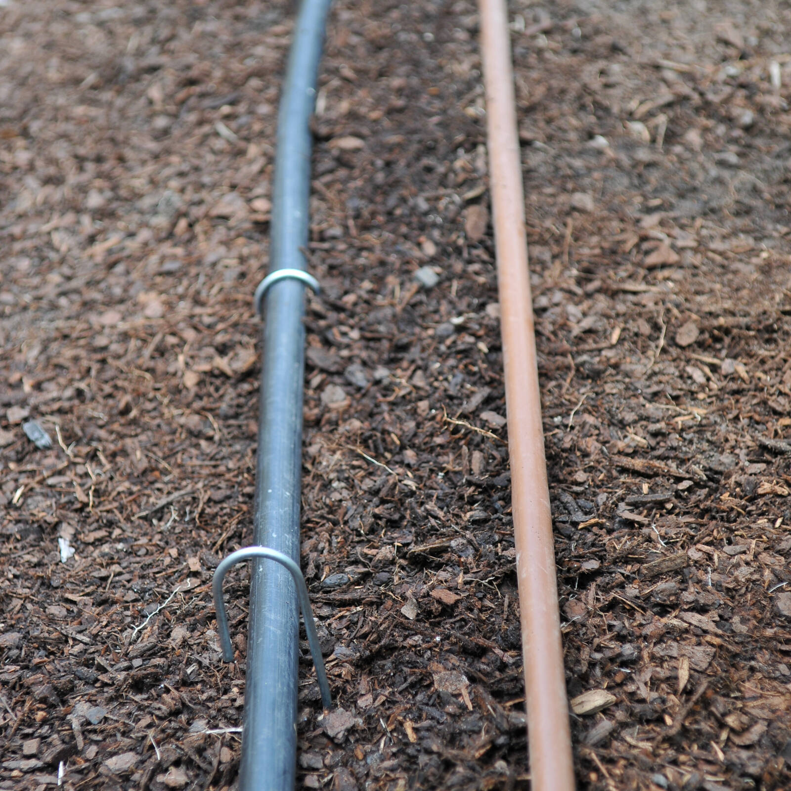 bunnings-6ab3ac6160f48