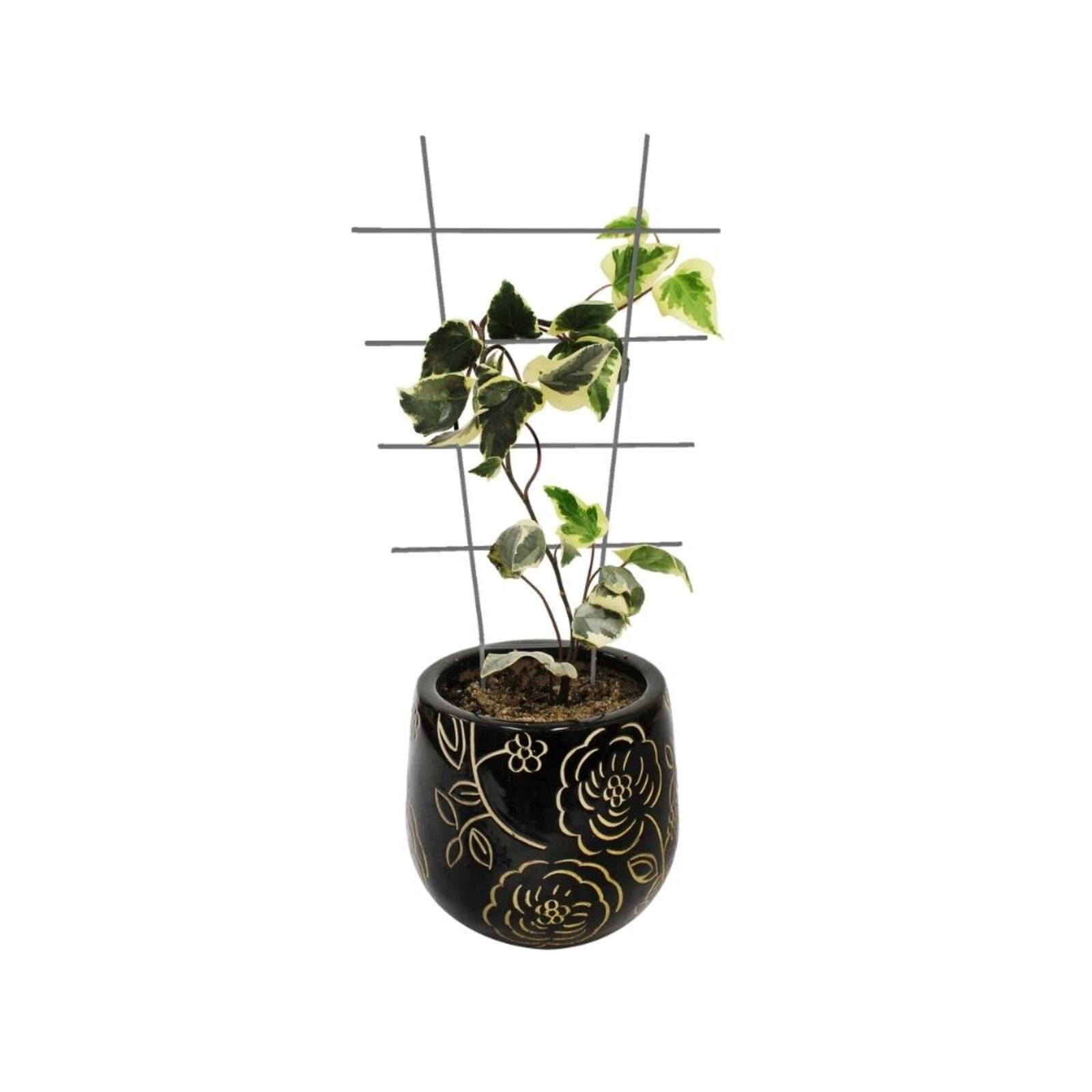 bunnings-6ab3b5916e8ea