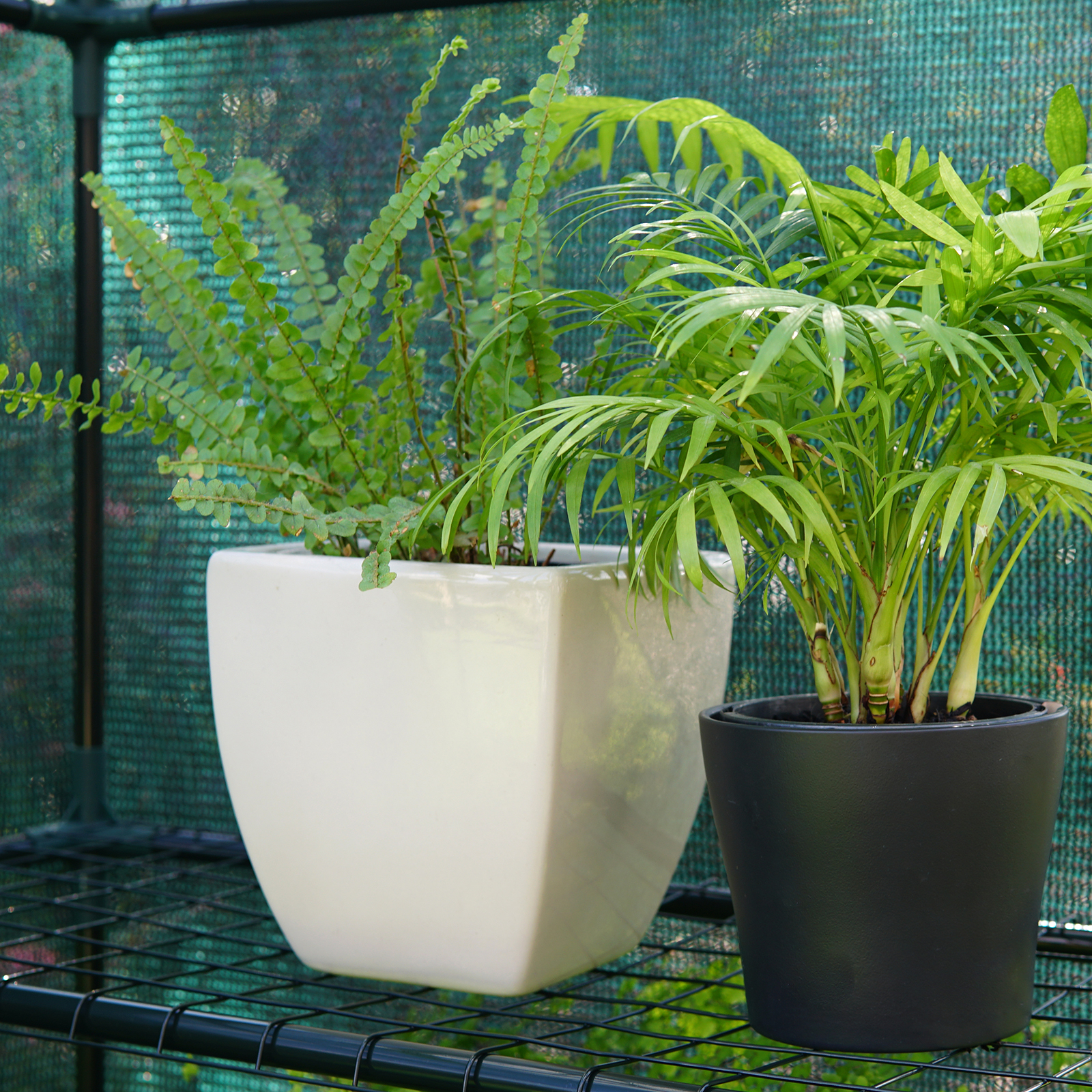 bunnings-6ab3b5cc114f0