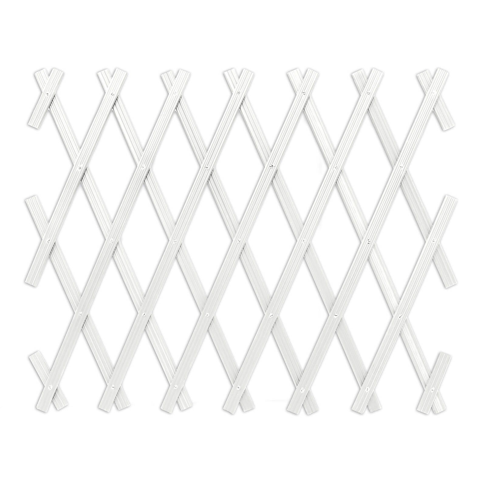 bunnings-6ab3b627a929d