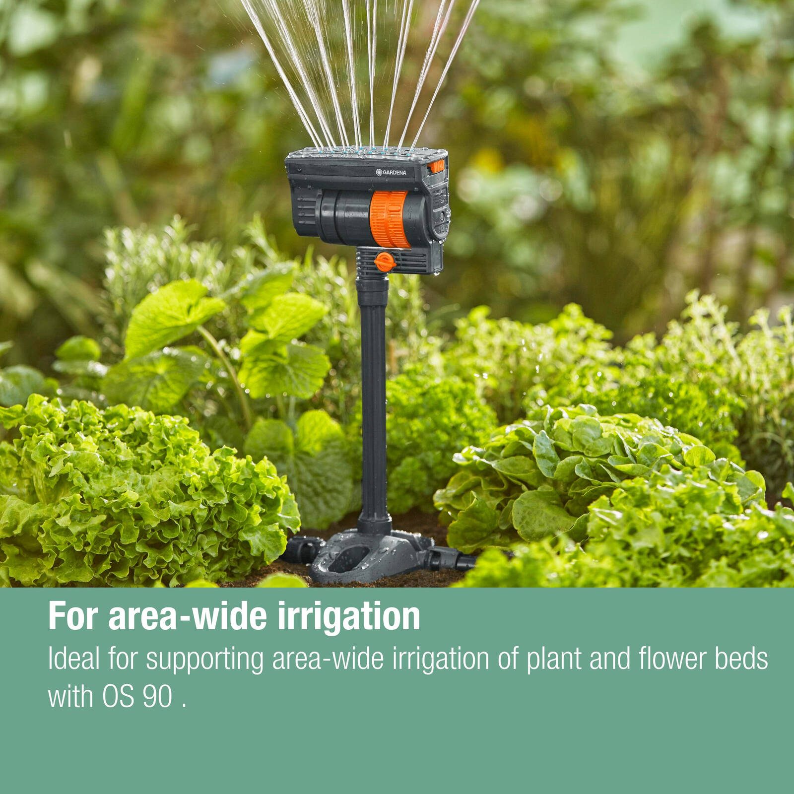 bunnings-6ab3c593e7779