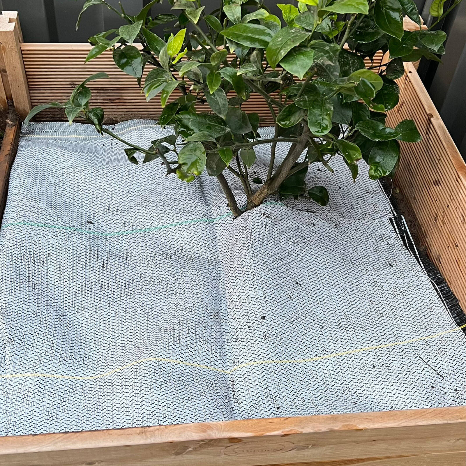 bunnings-6ab3c9ed3109e