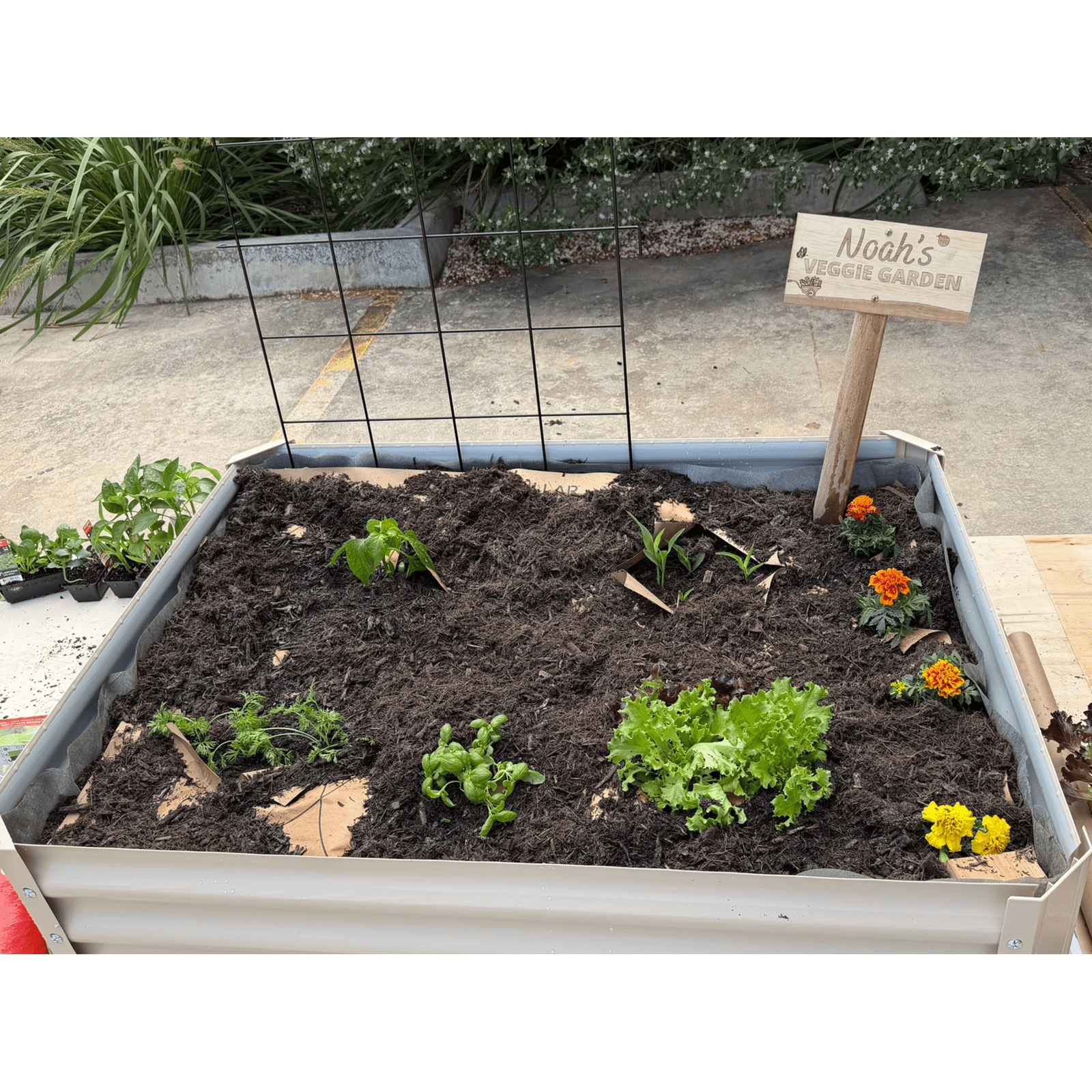 bunnings-6ab3ce5b4519d