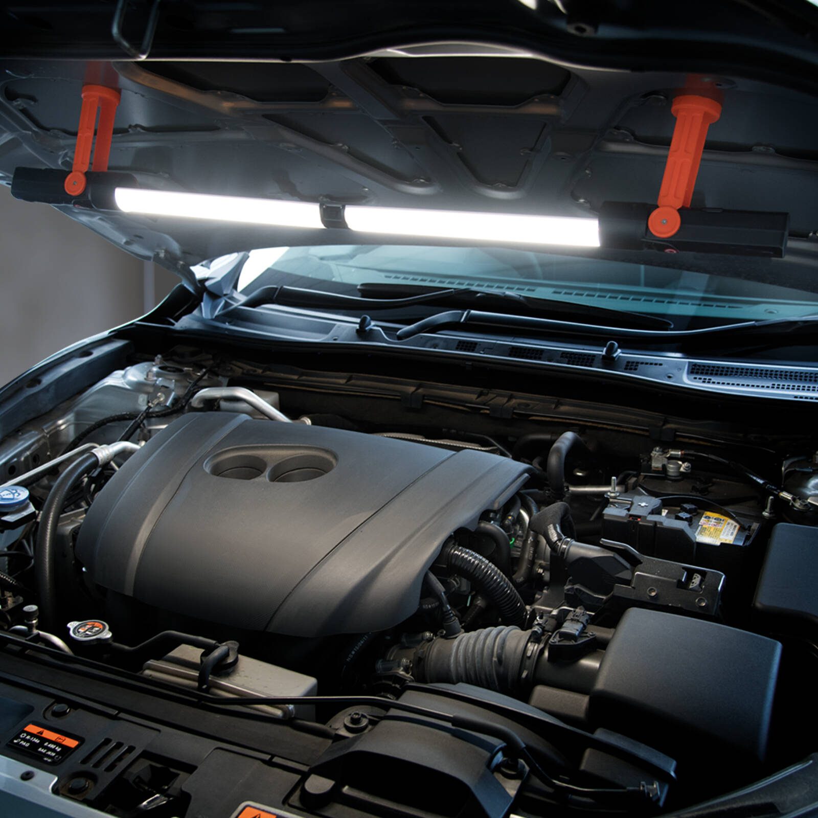 bunnings-6ab3cf18db16a