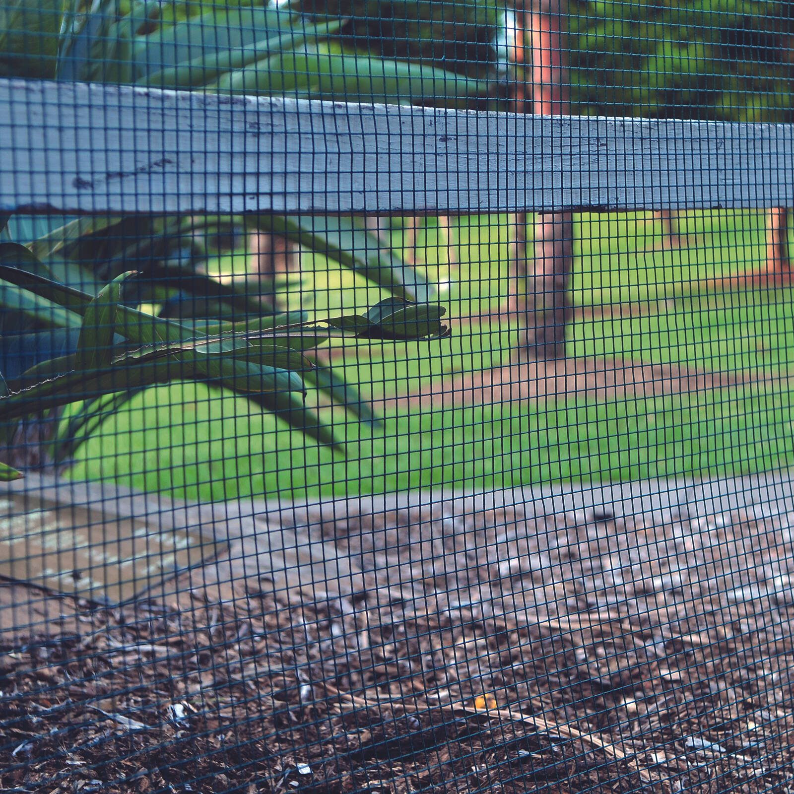 bunnings-6ab3d701357cc