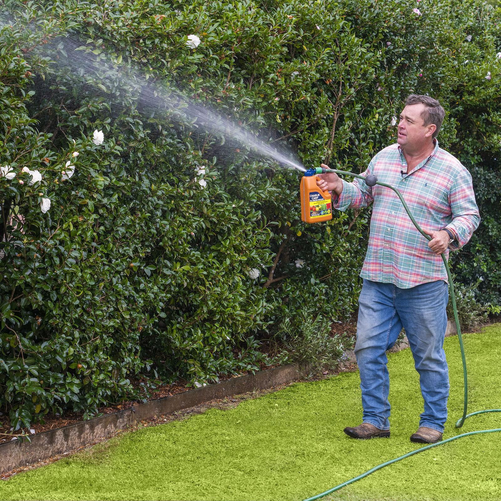 bunnings-6ab3d7957896f
