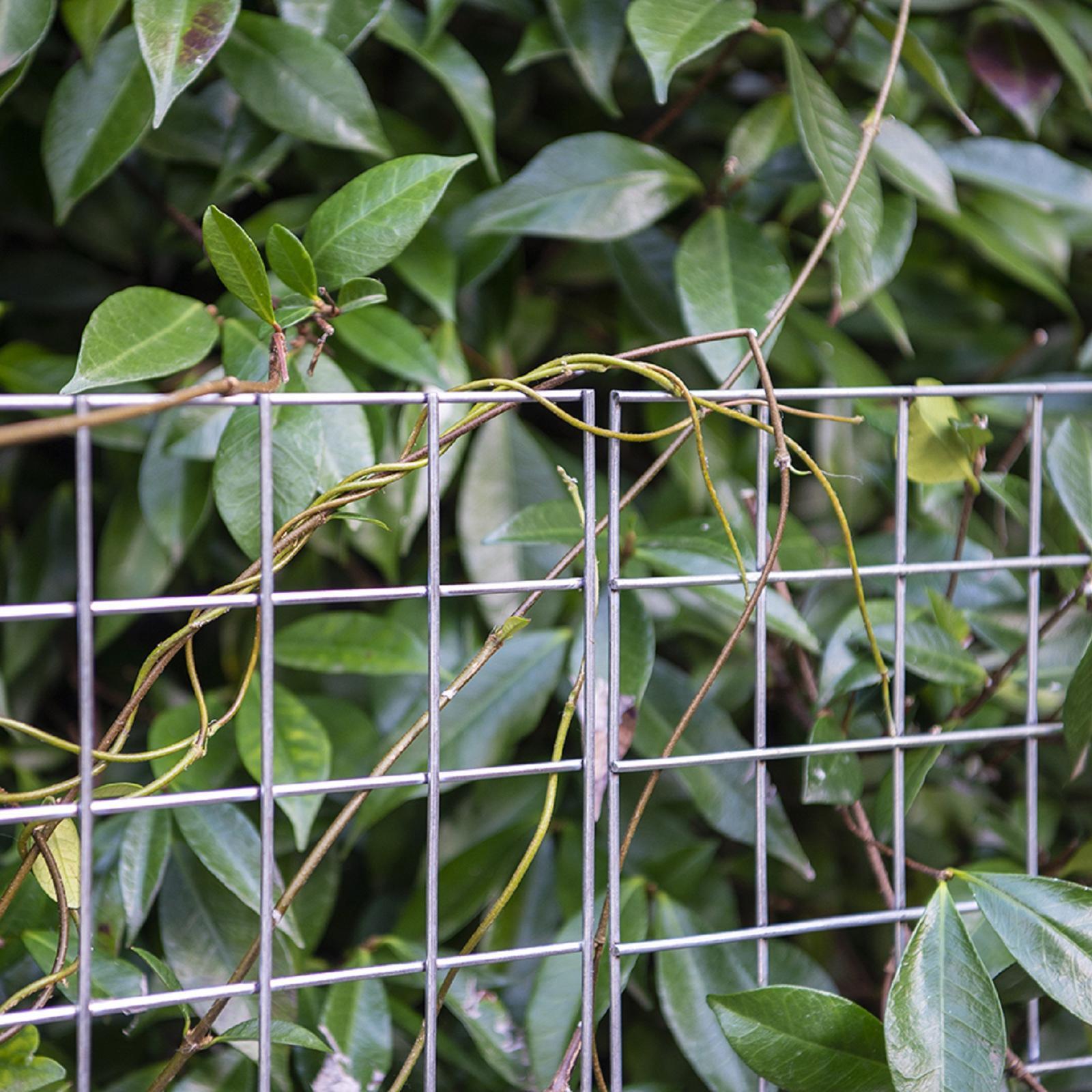 bunnings-6ab3d97869fa6