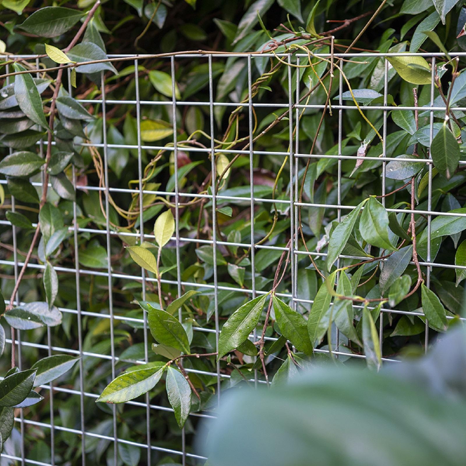 bunnings-6ab3d97961222
