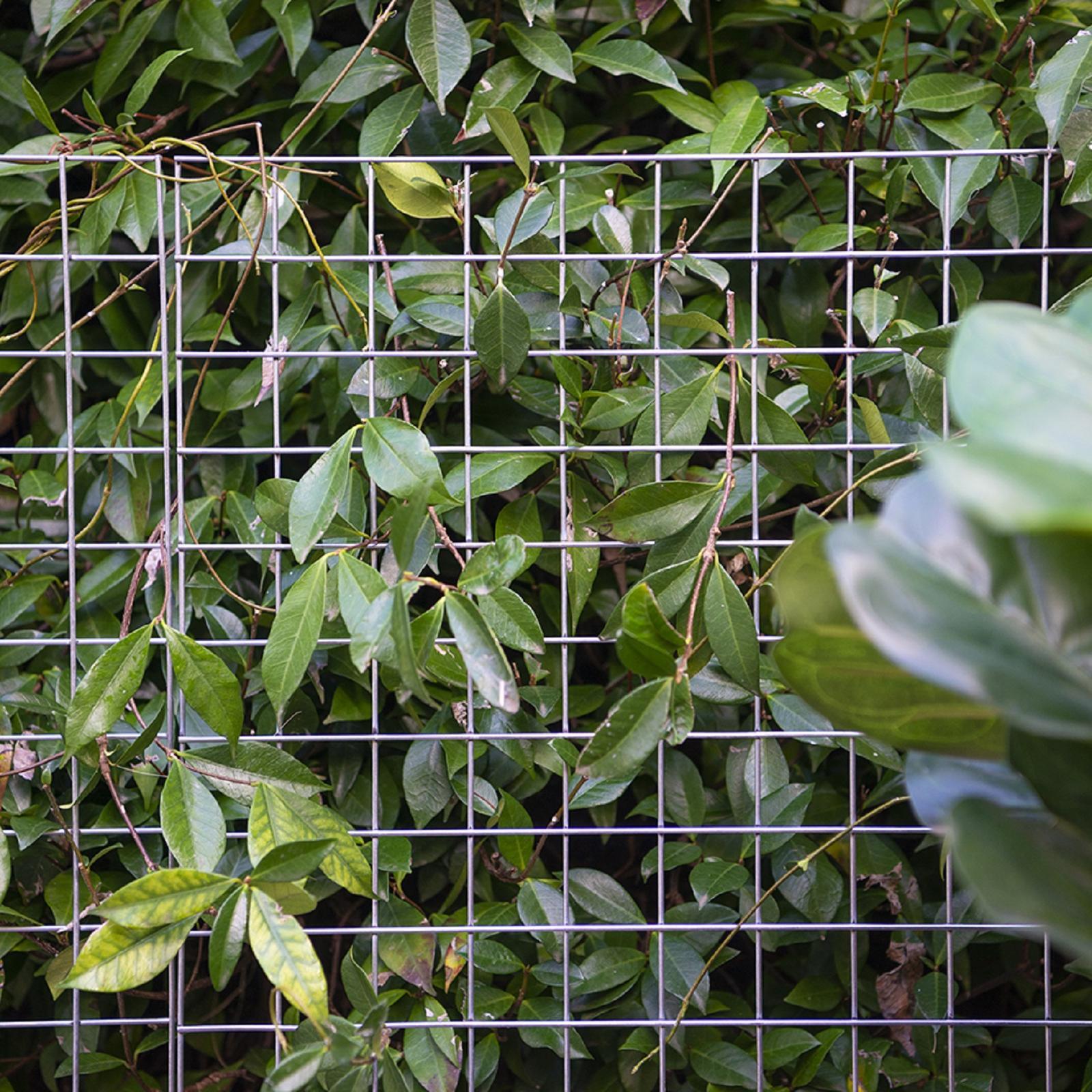 bunnings-6ab3d97a58118