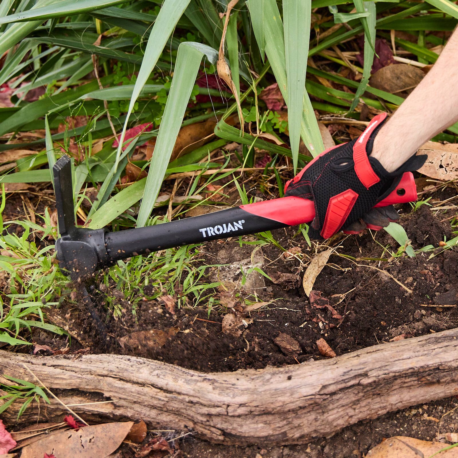 bunnings-6ab3dabf247cd