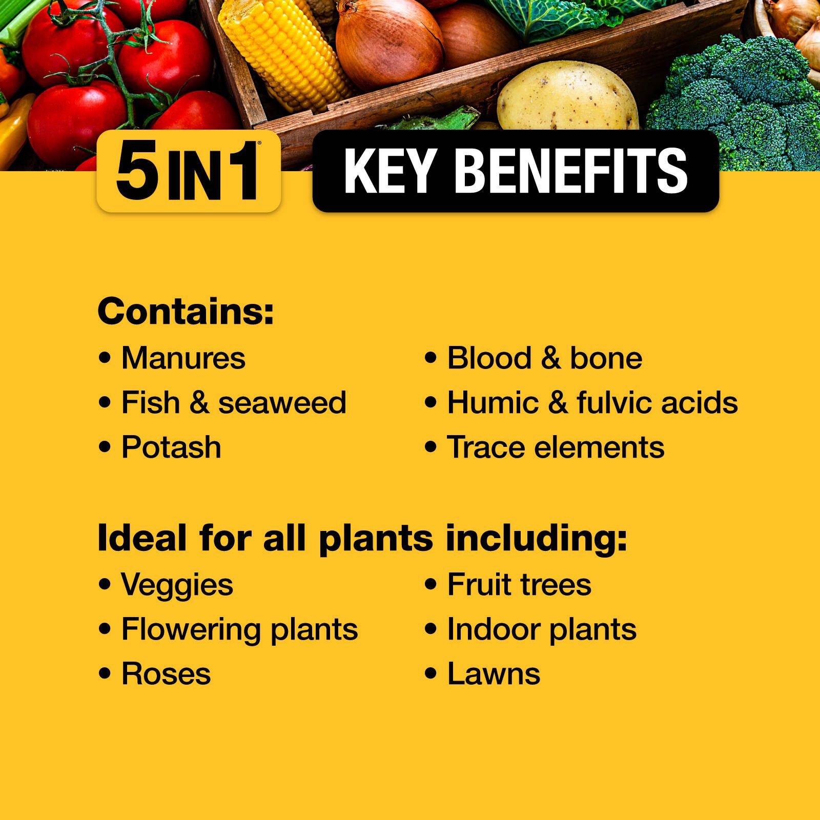 bunnings-6ab3dba7de7c1