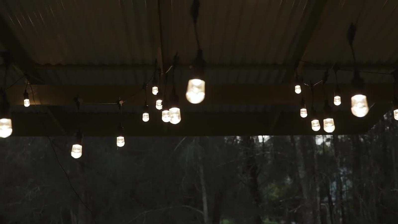 bunnings-6ab3dcd902d38