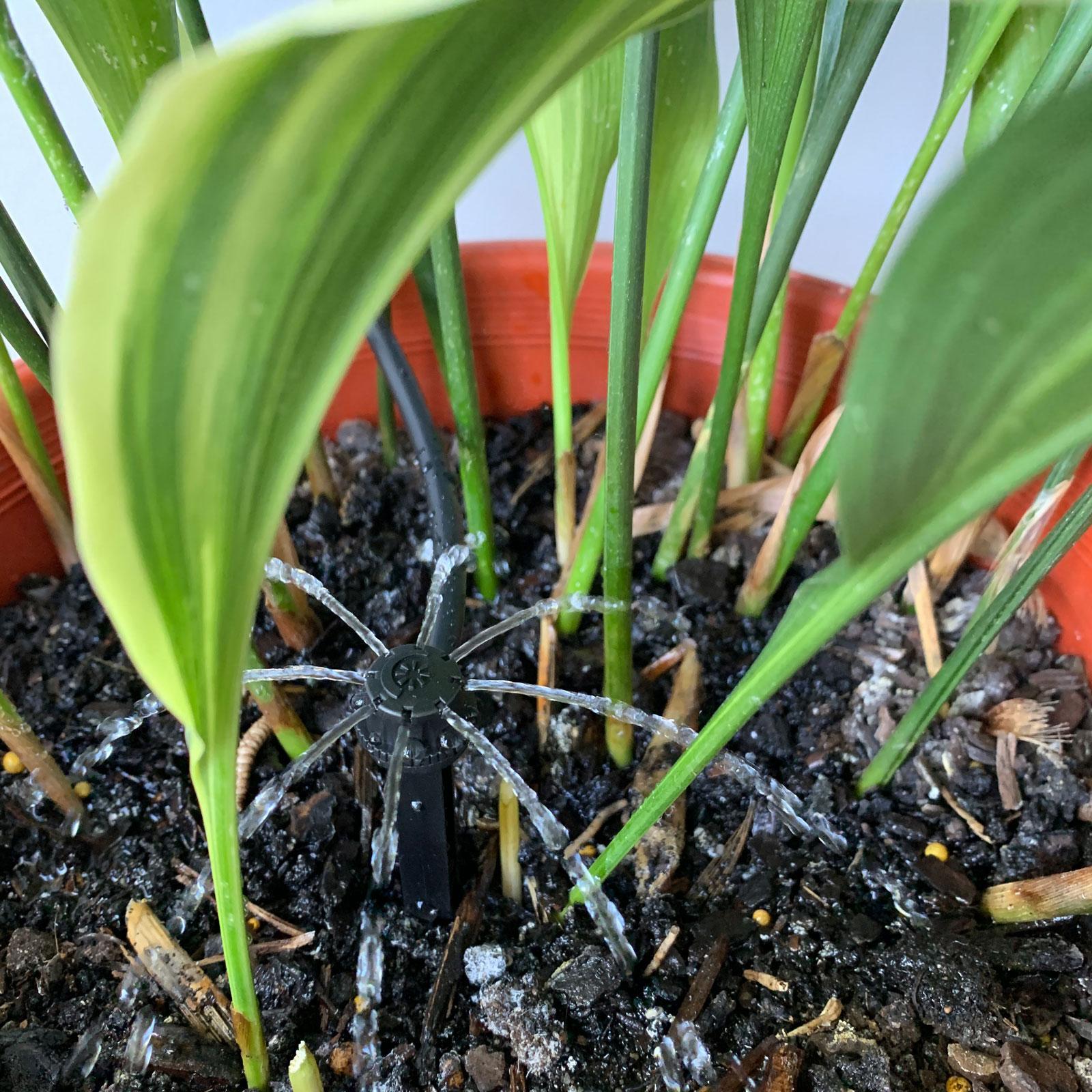 bunnings-6ab3dec50300d