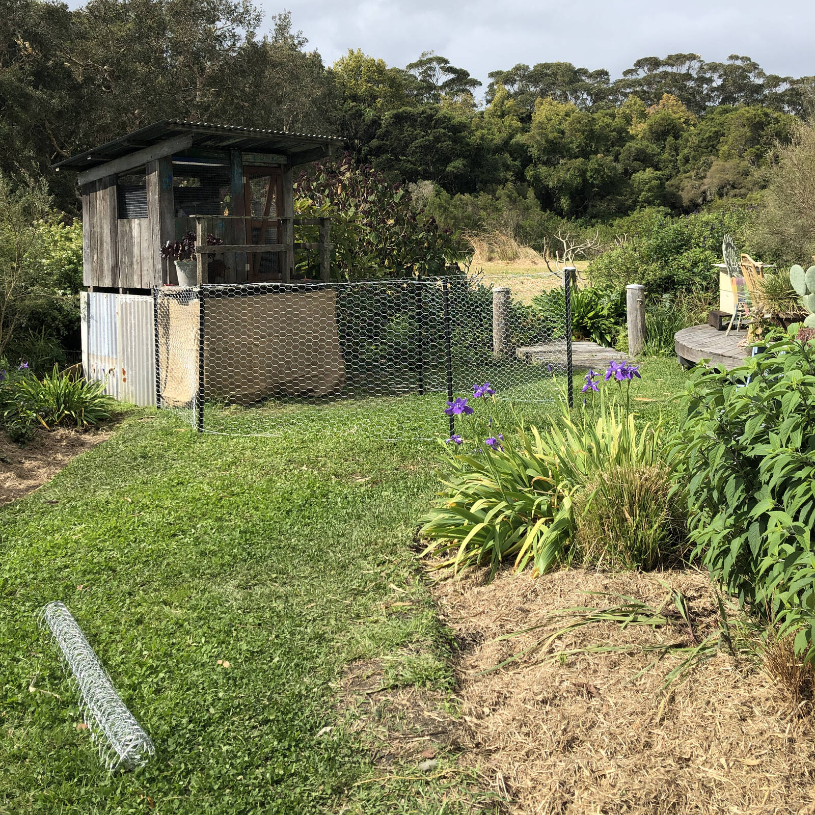 bunnings-6ab3df81ddd8f