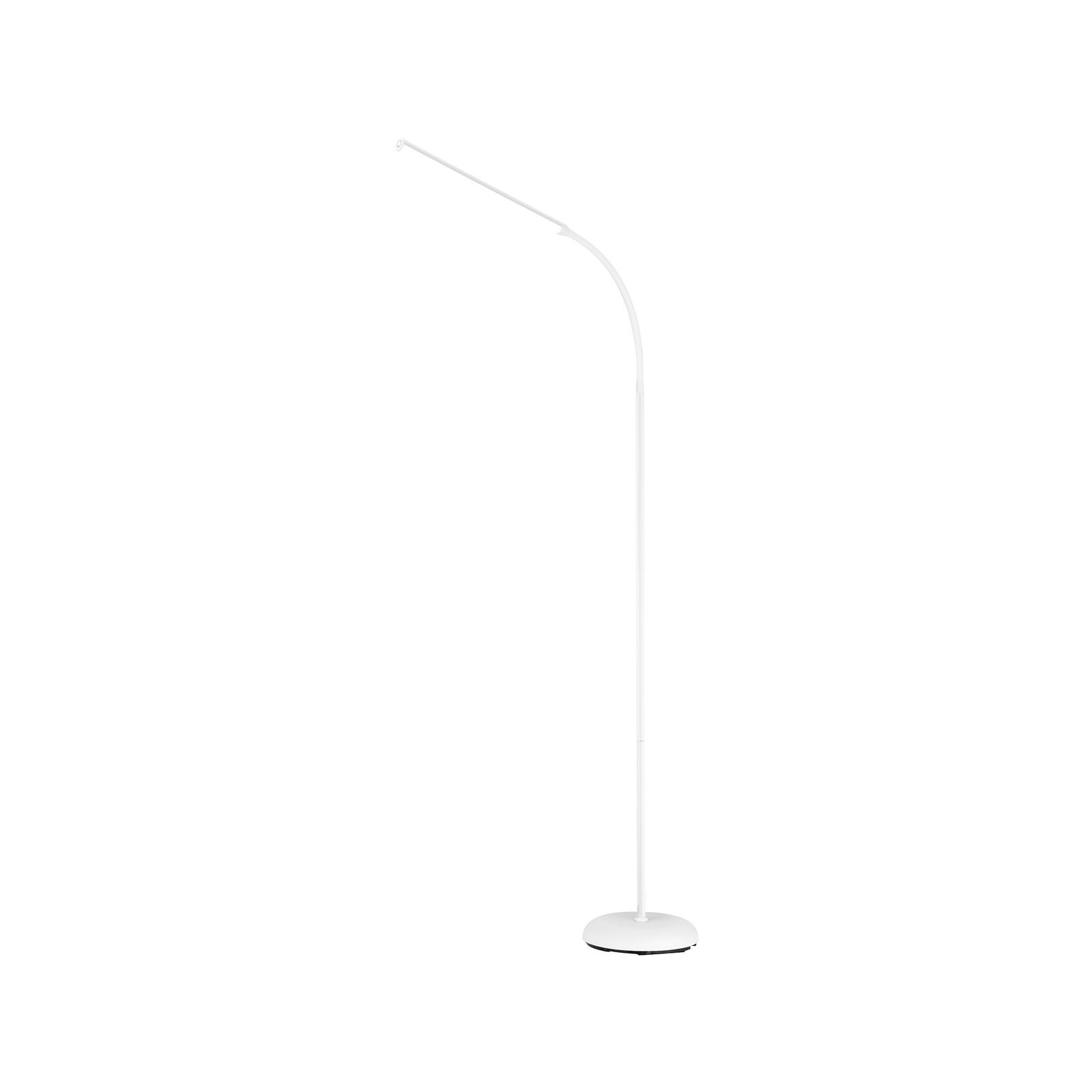 bunnings-6ab3e7640e3c4