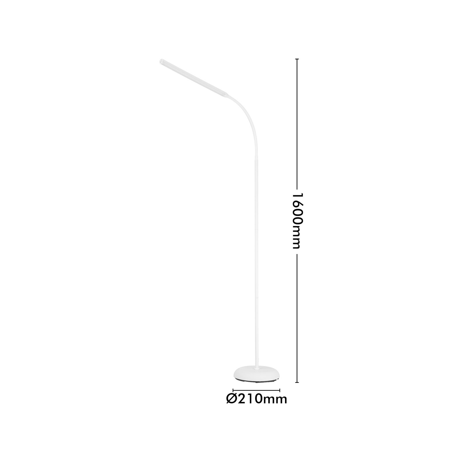 bunnings-6ab3e7669c767