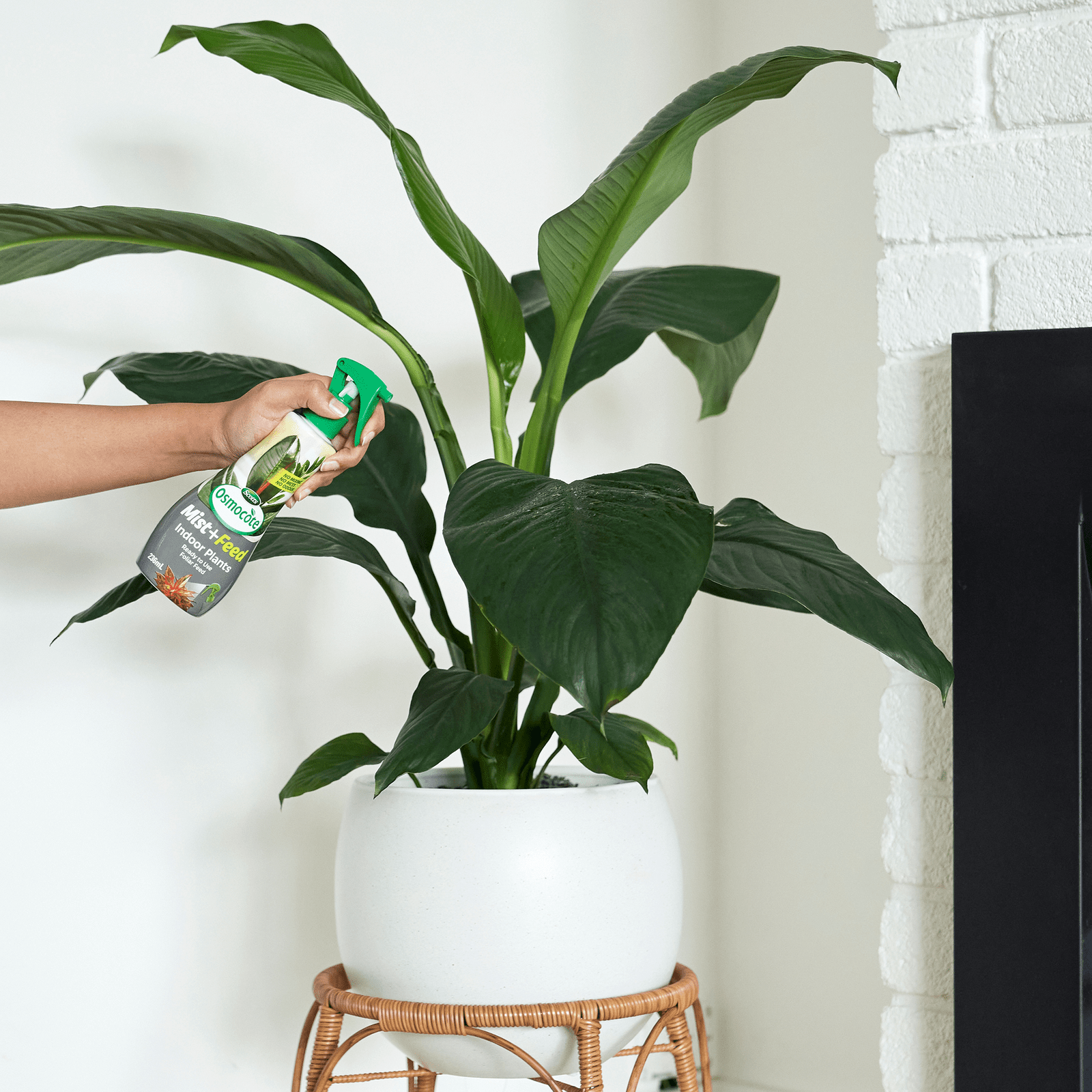 bunnings-6ab3e80ca72bb