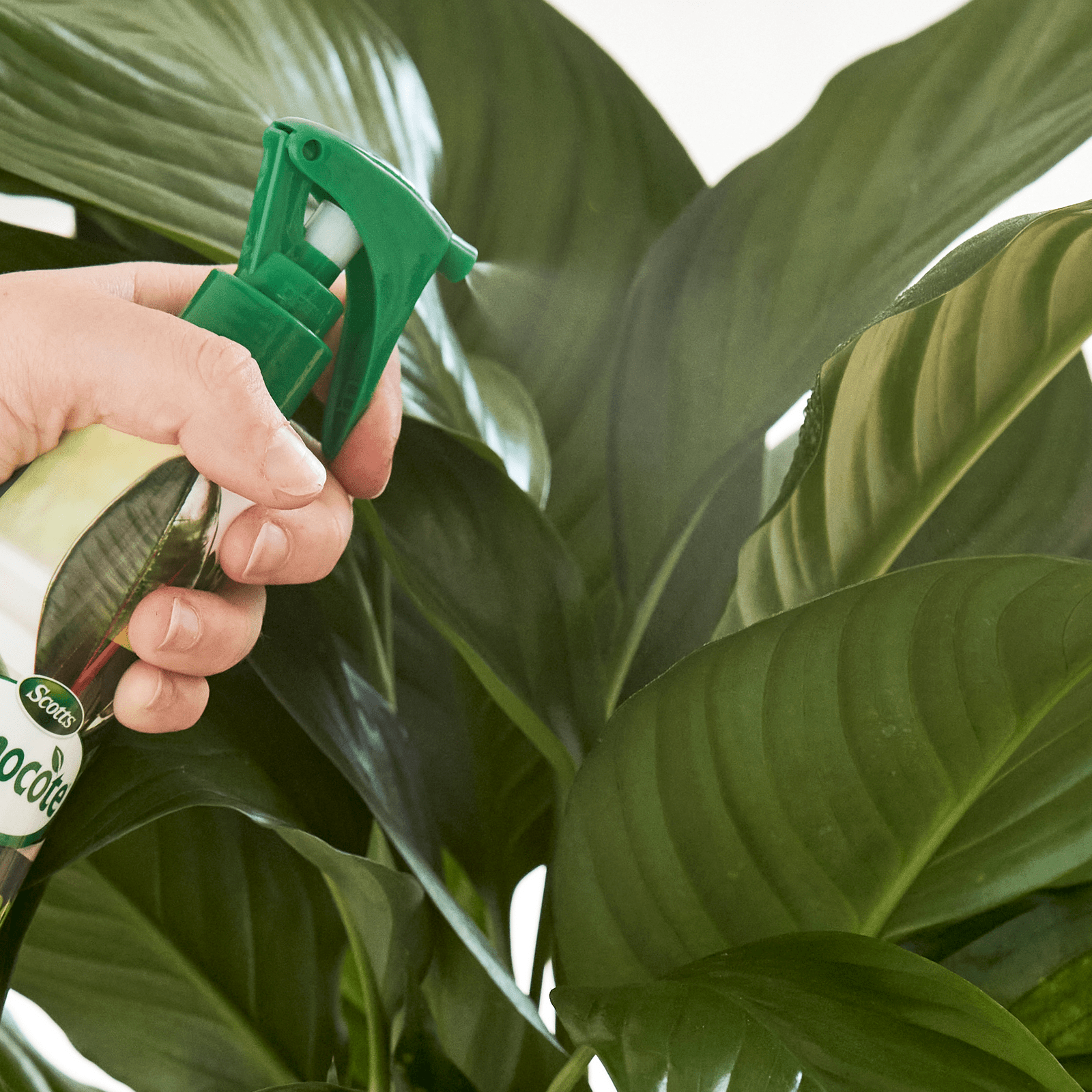 bunnings-6ab3e814aac7d