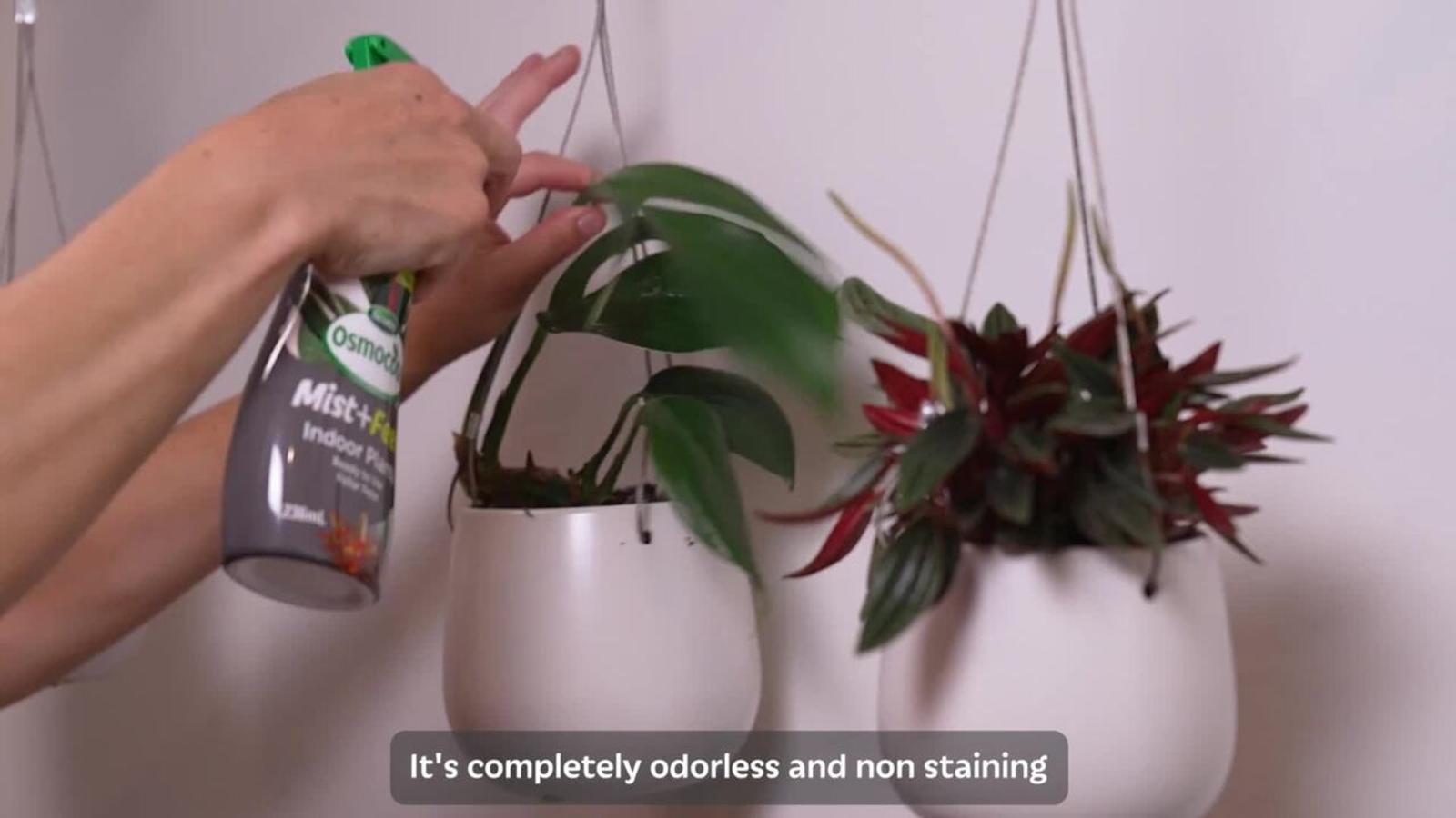 bunnings-6ab3e8201d3bc