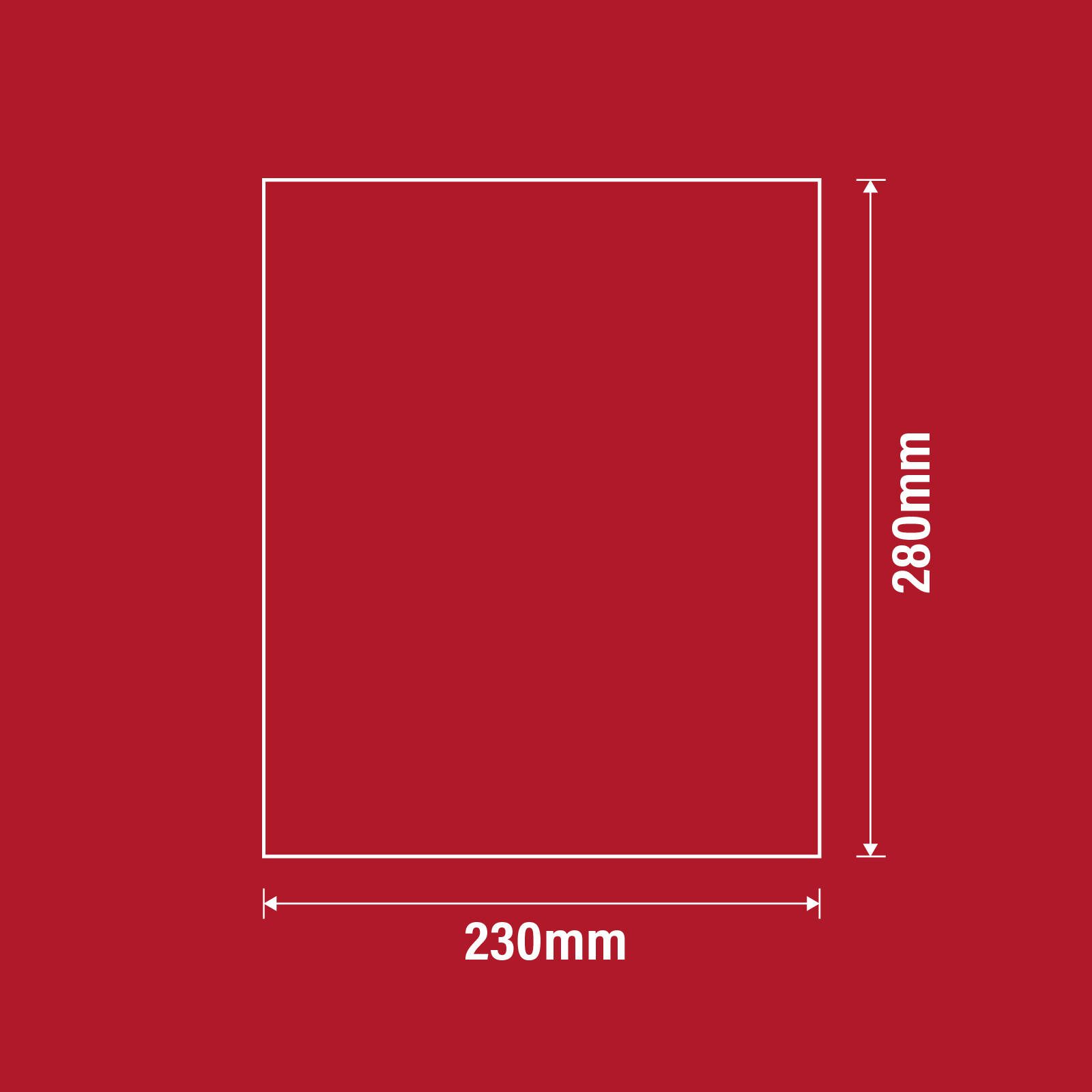 bunnings-6ab3f952cc140