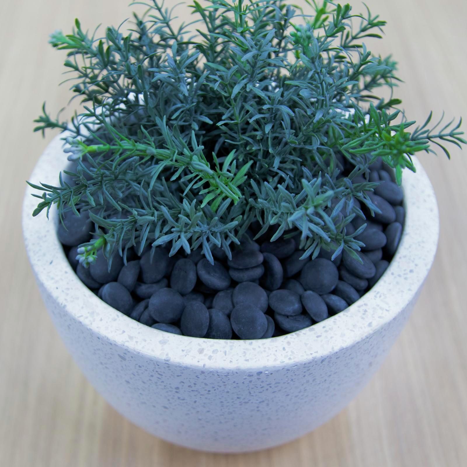 bunnings-6ab3fb3d3f17f