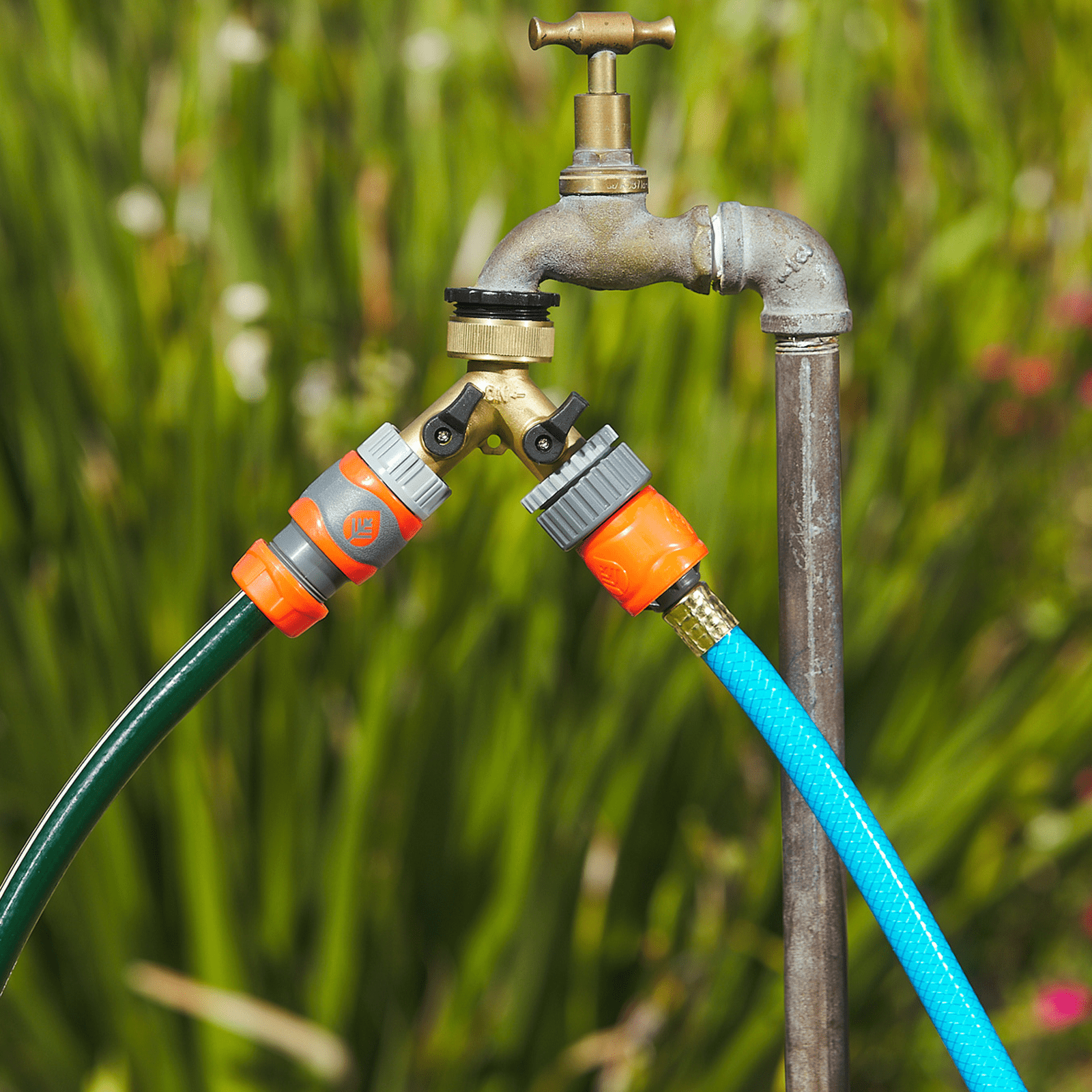 bunnings-6ab402923e1c2