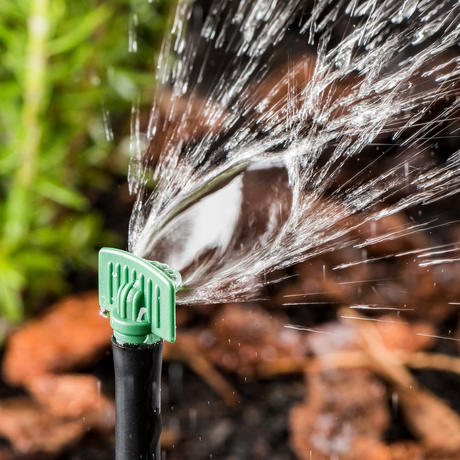 bunnings-6ab405f377641