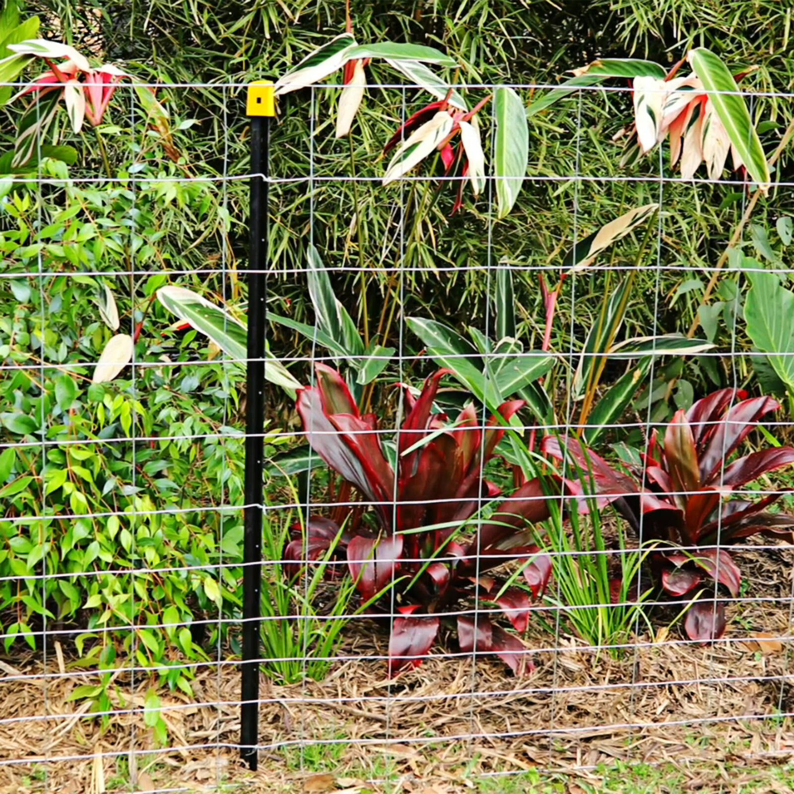 bunnings-6ab4066b5ebbe