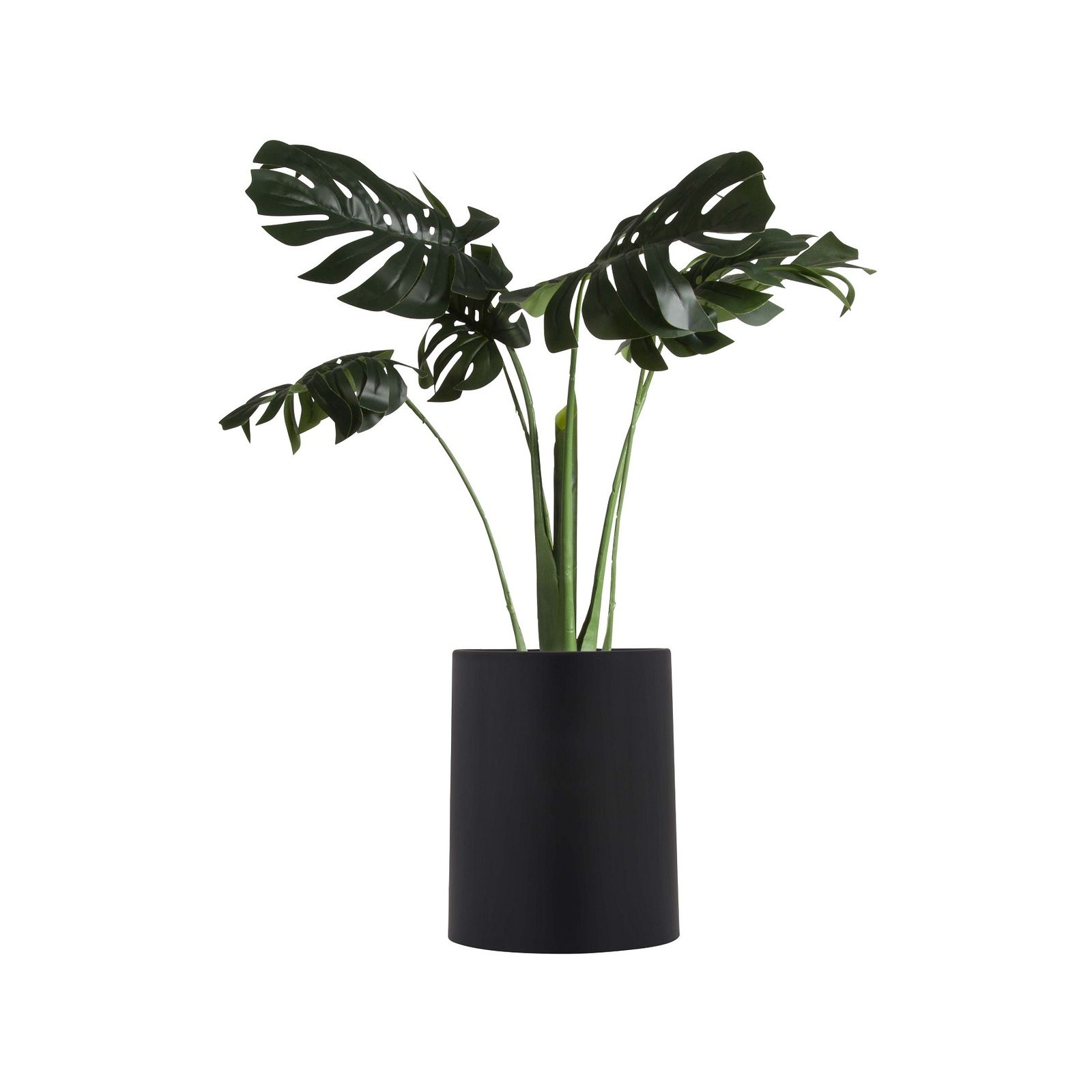 bunnings-6ab410c14b9fe