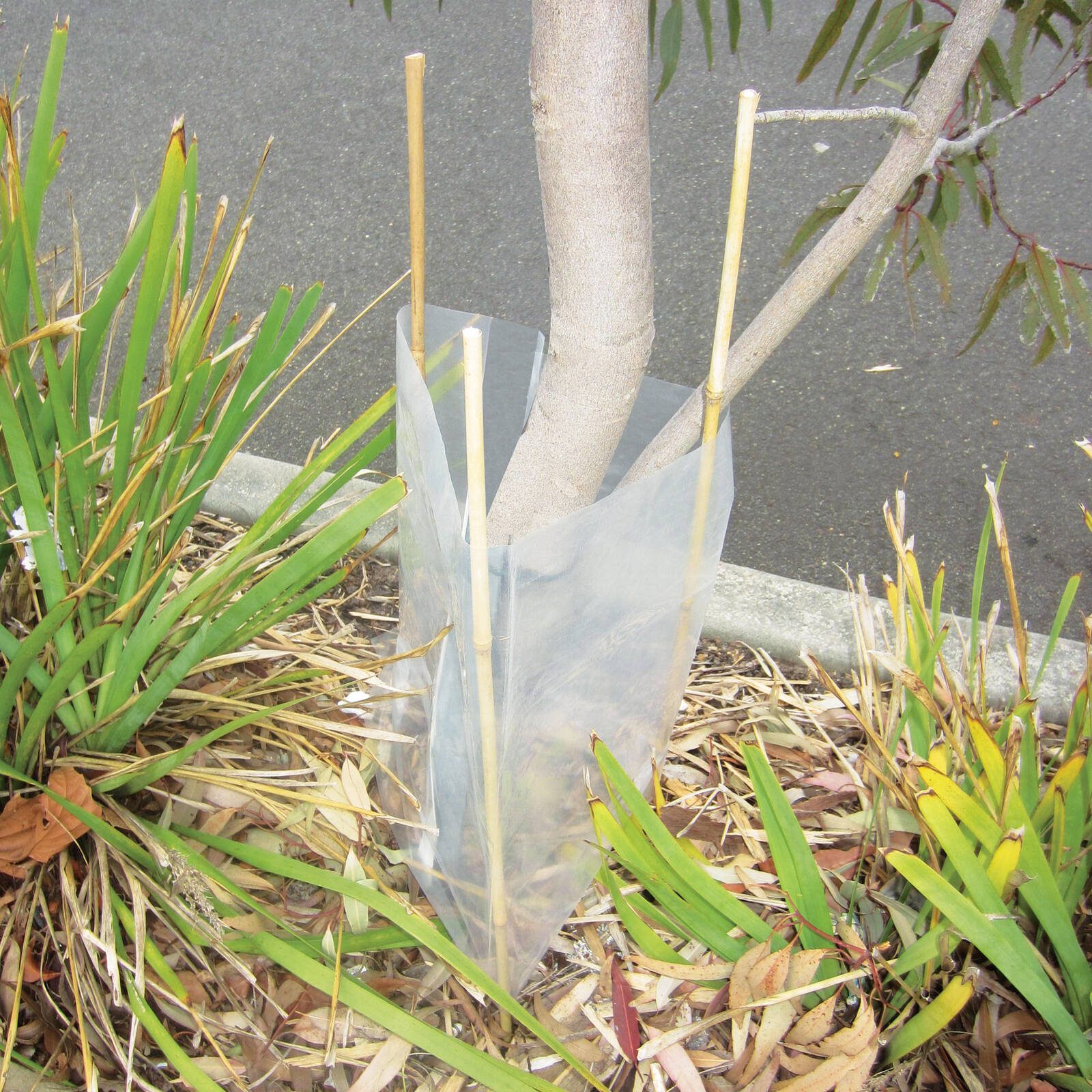 bunnings-6ab411b58953d