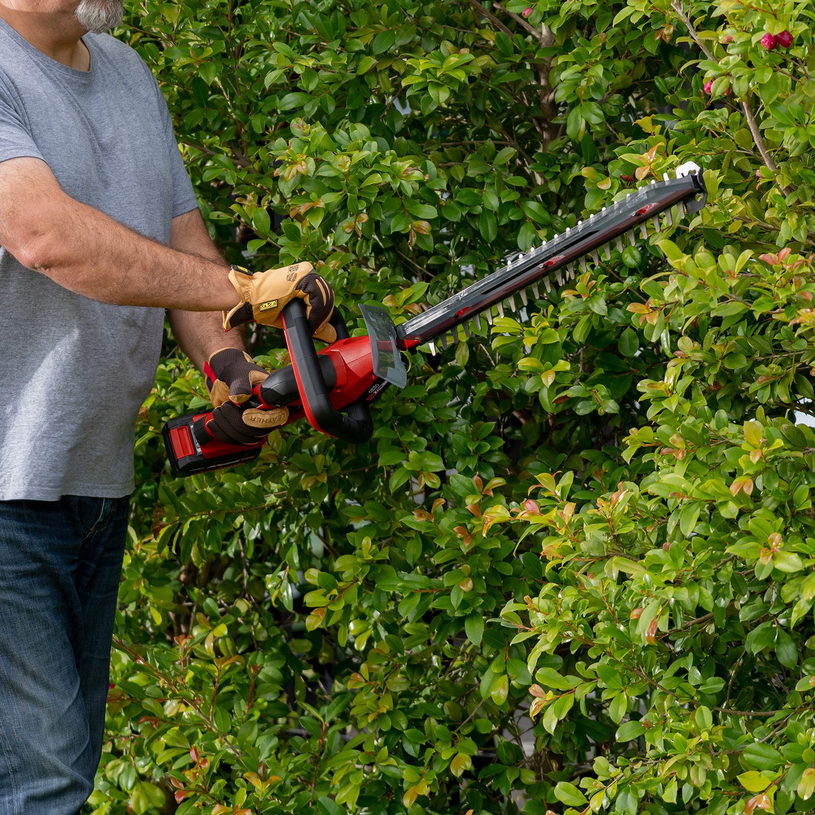 bunnings-6ab414484bf52