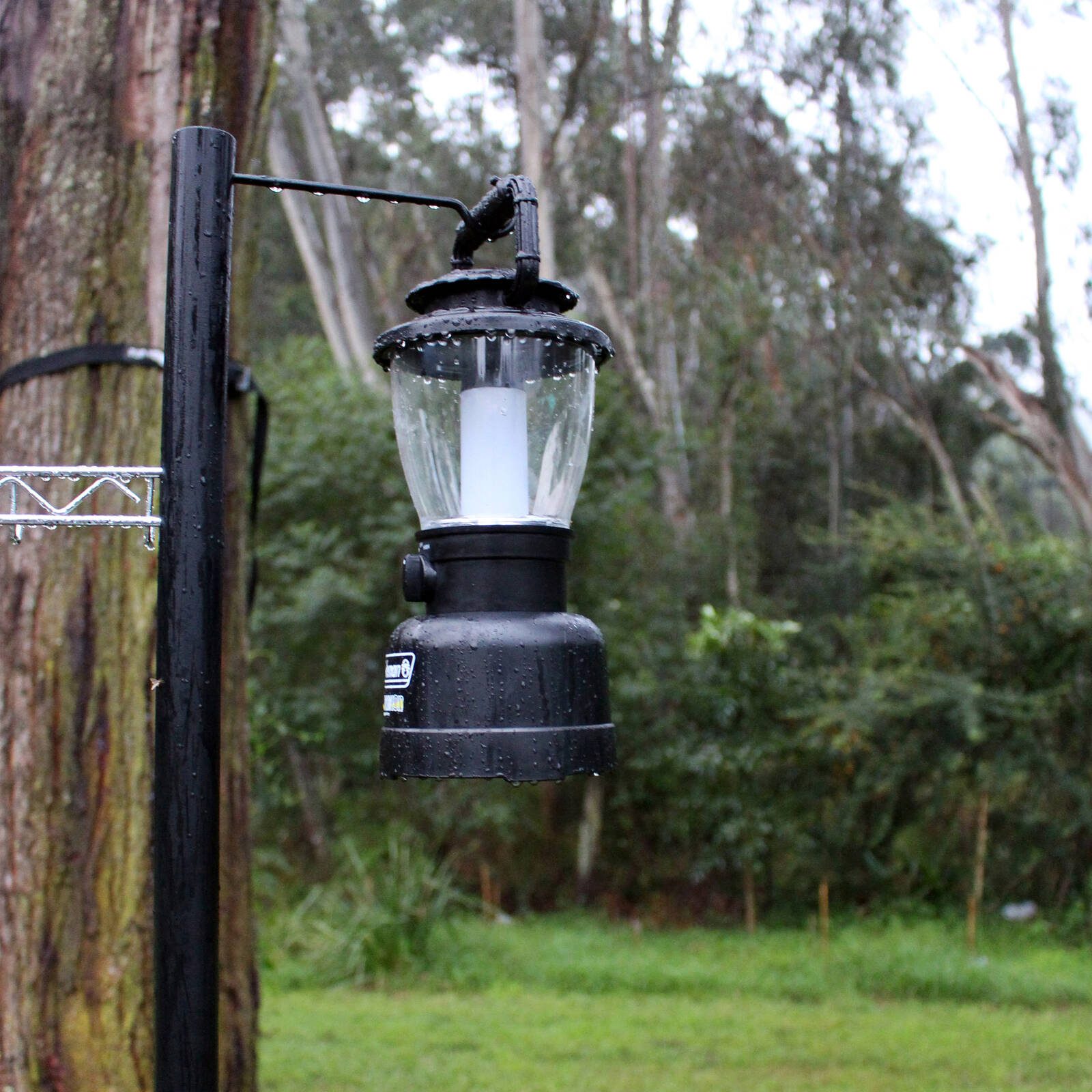 bunnings-6ab4191025466
