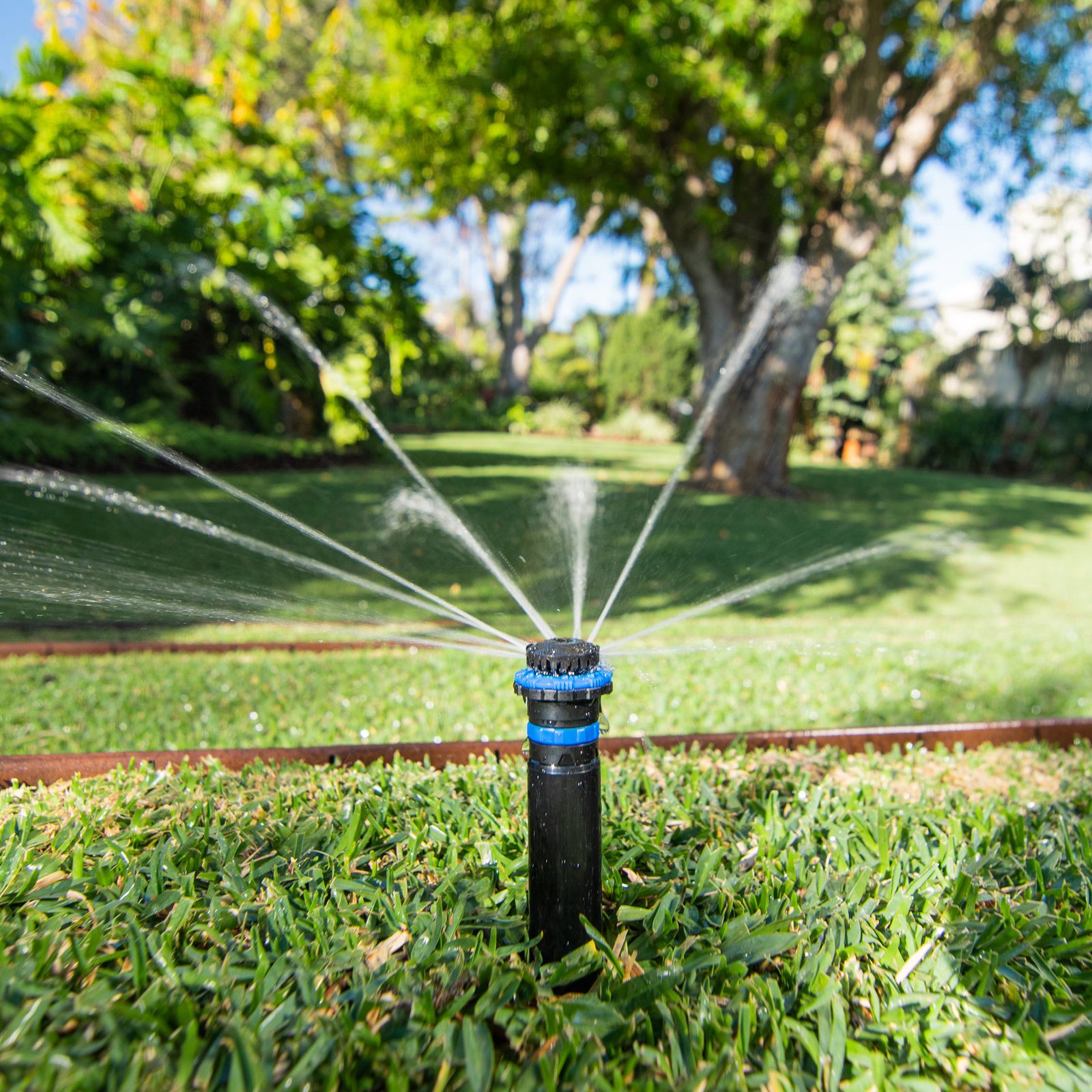 bunnings-6ab4262e032ac