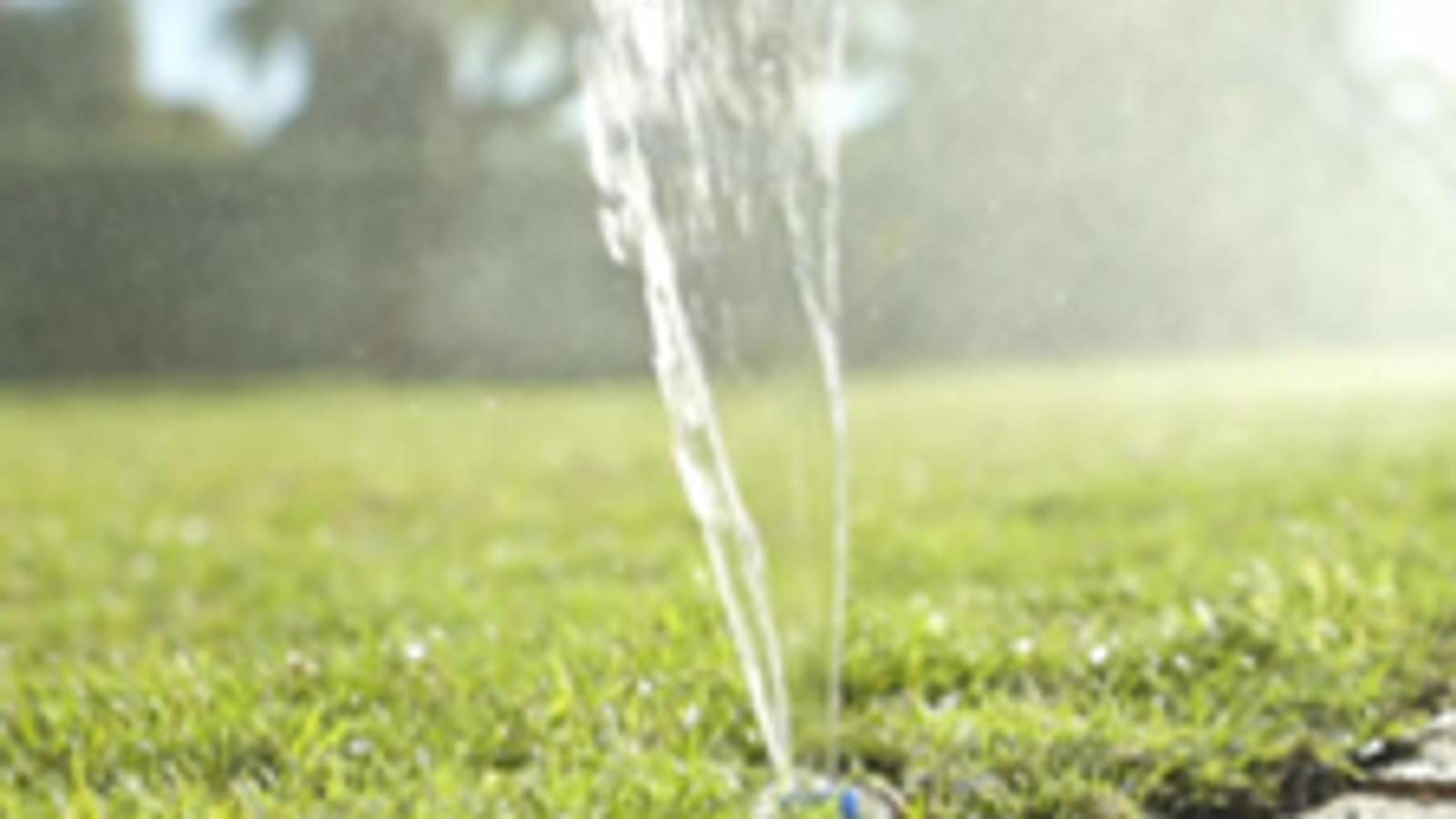 bunnings-6ab426319013f