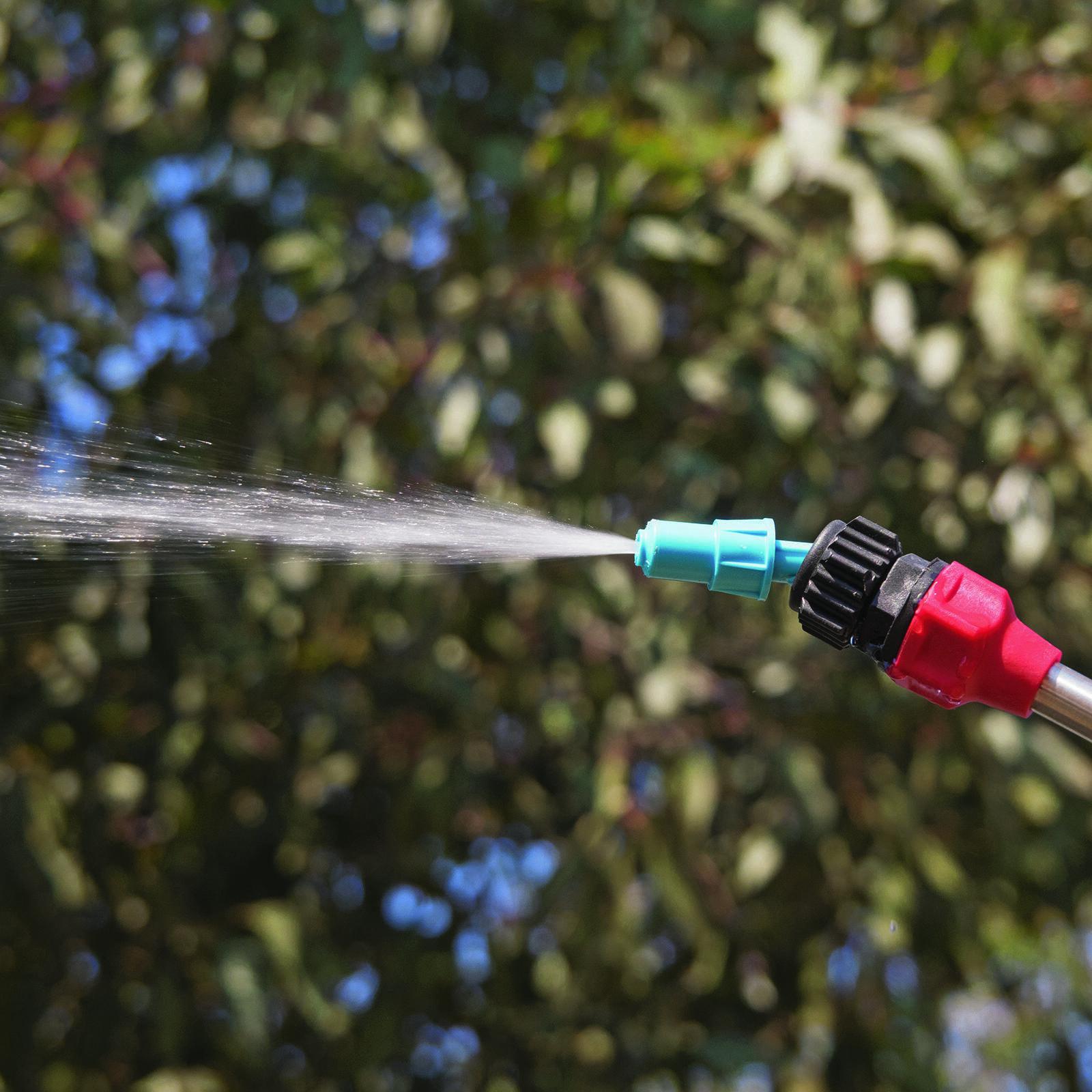 bunnings-6ab4451f1eb25