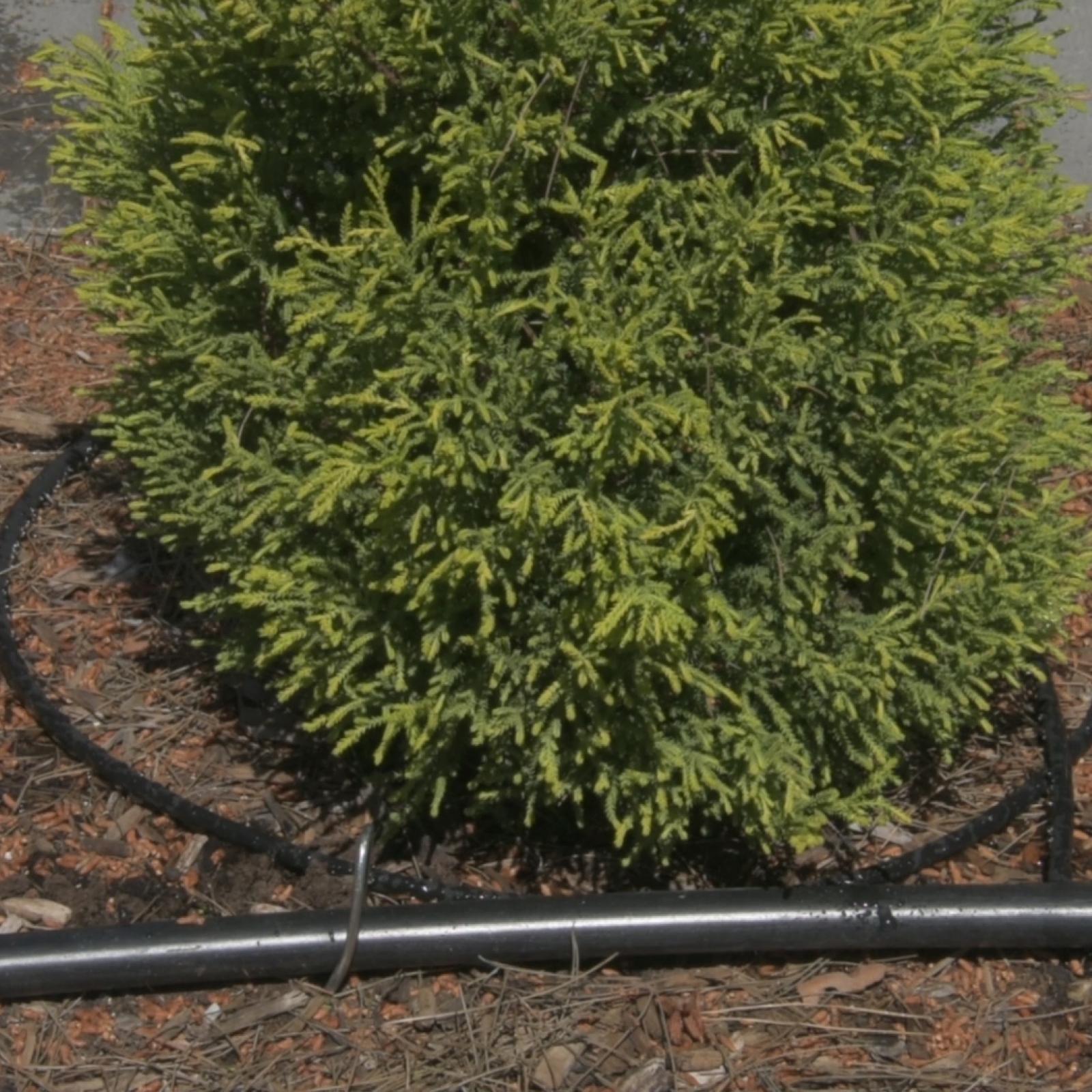 bunnings-6ab4631b23dfc