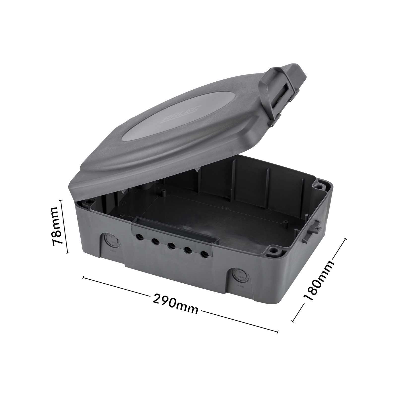 bunnings-6ab463cc3780c