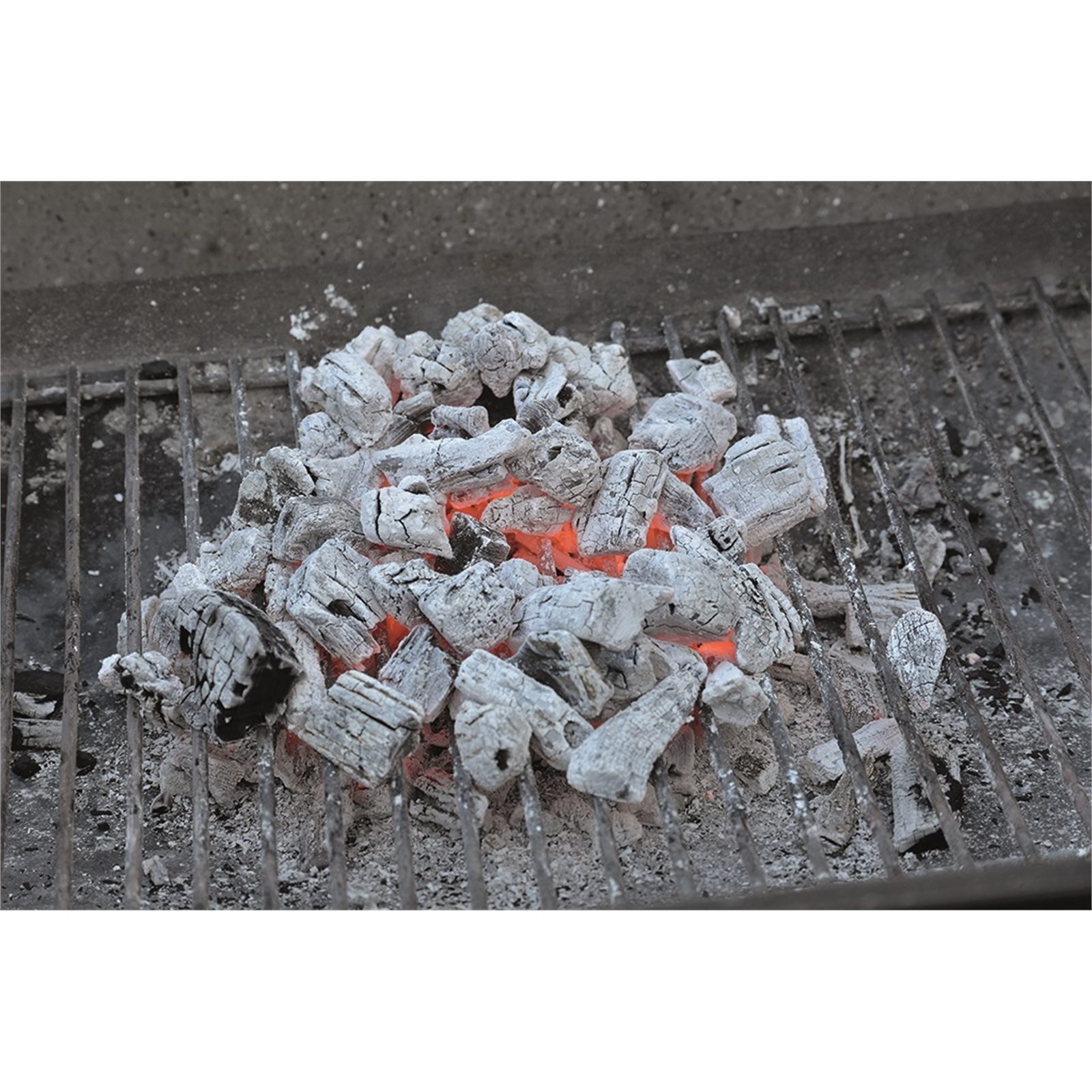 bunnings-6ab4700066643