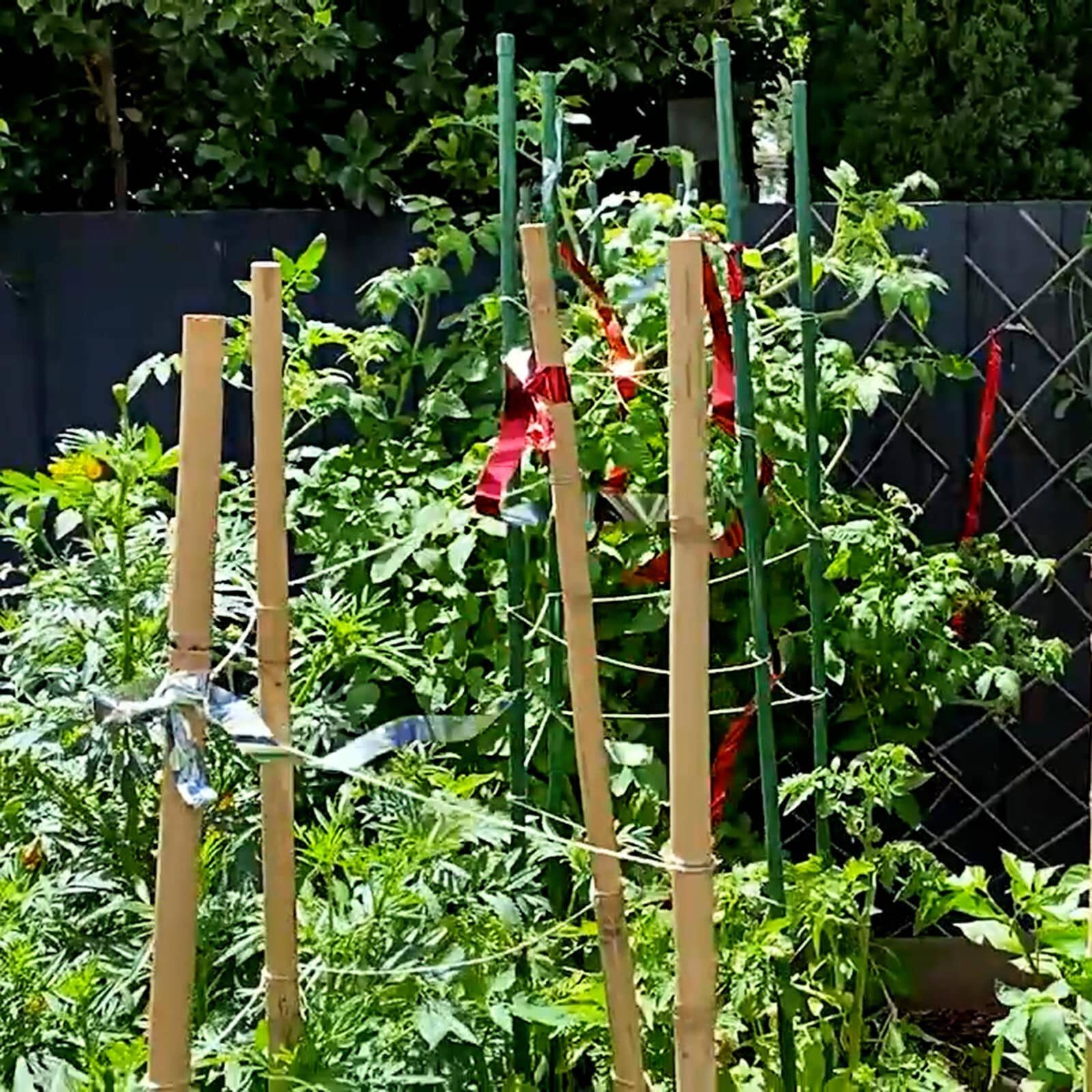 bunnings-6ab4728194d26